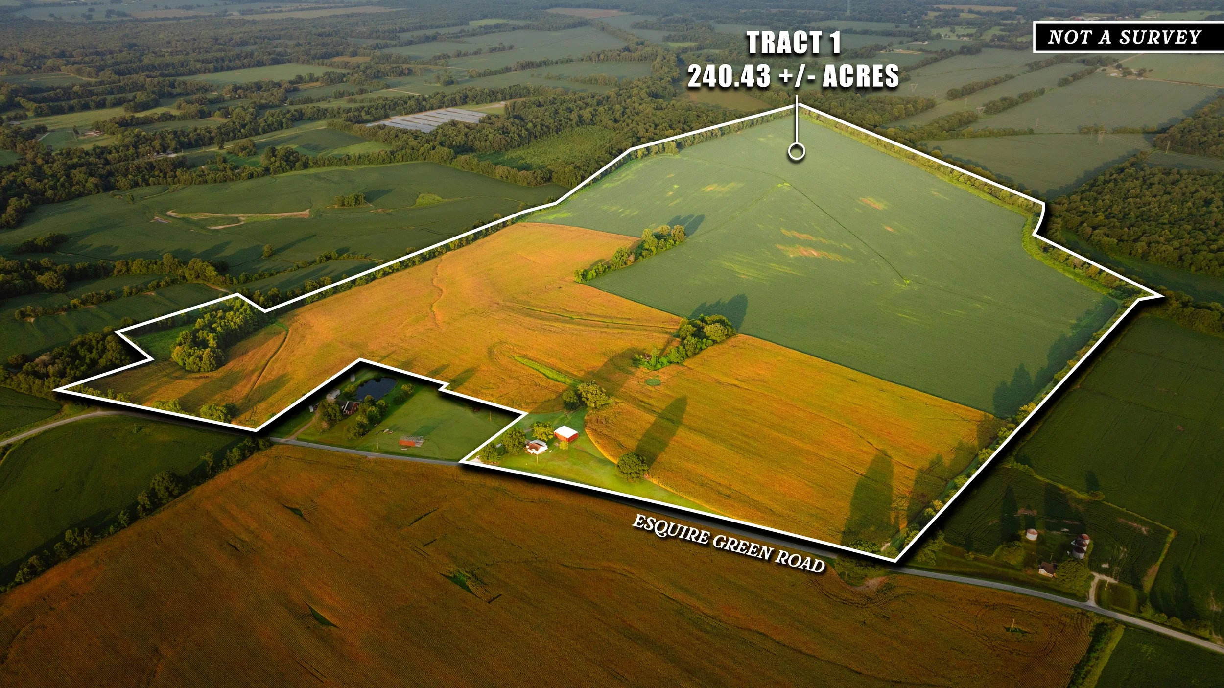 DJI_20260729141749_0002_D.jpg