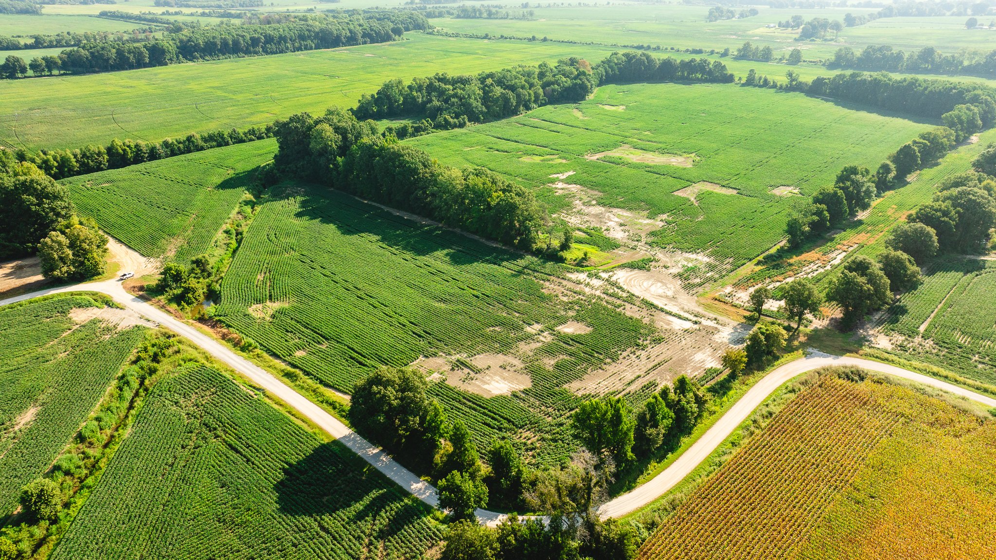 DJI_20260810161032_0055_D.jpg