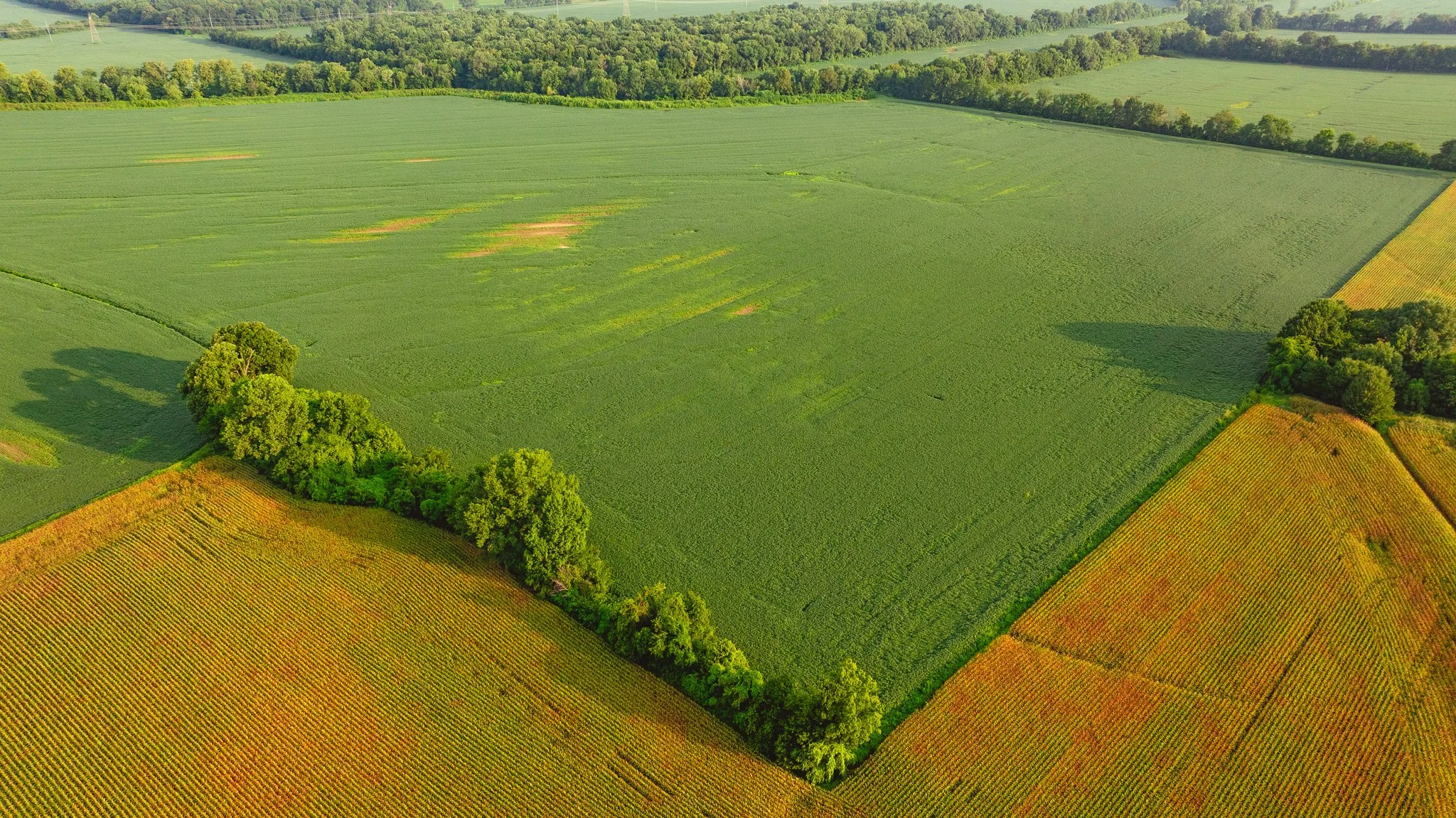 DJI_20260729144405_0070_D.jpg
