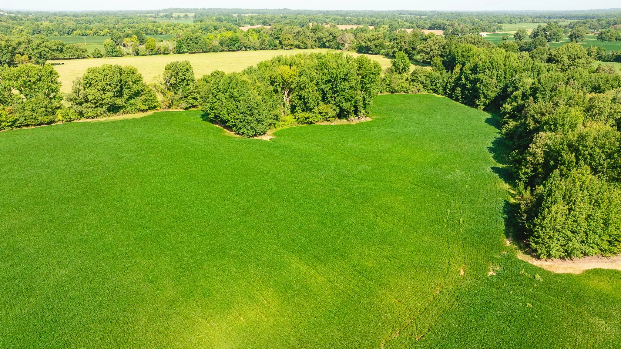 DJI_20260810170801_0103_D.jpg