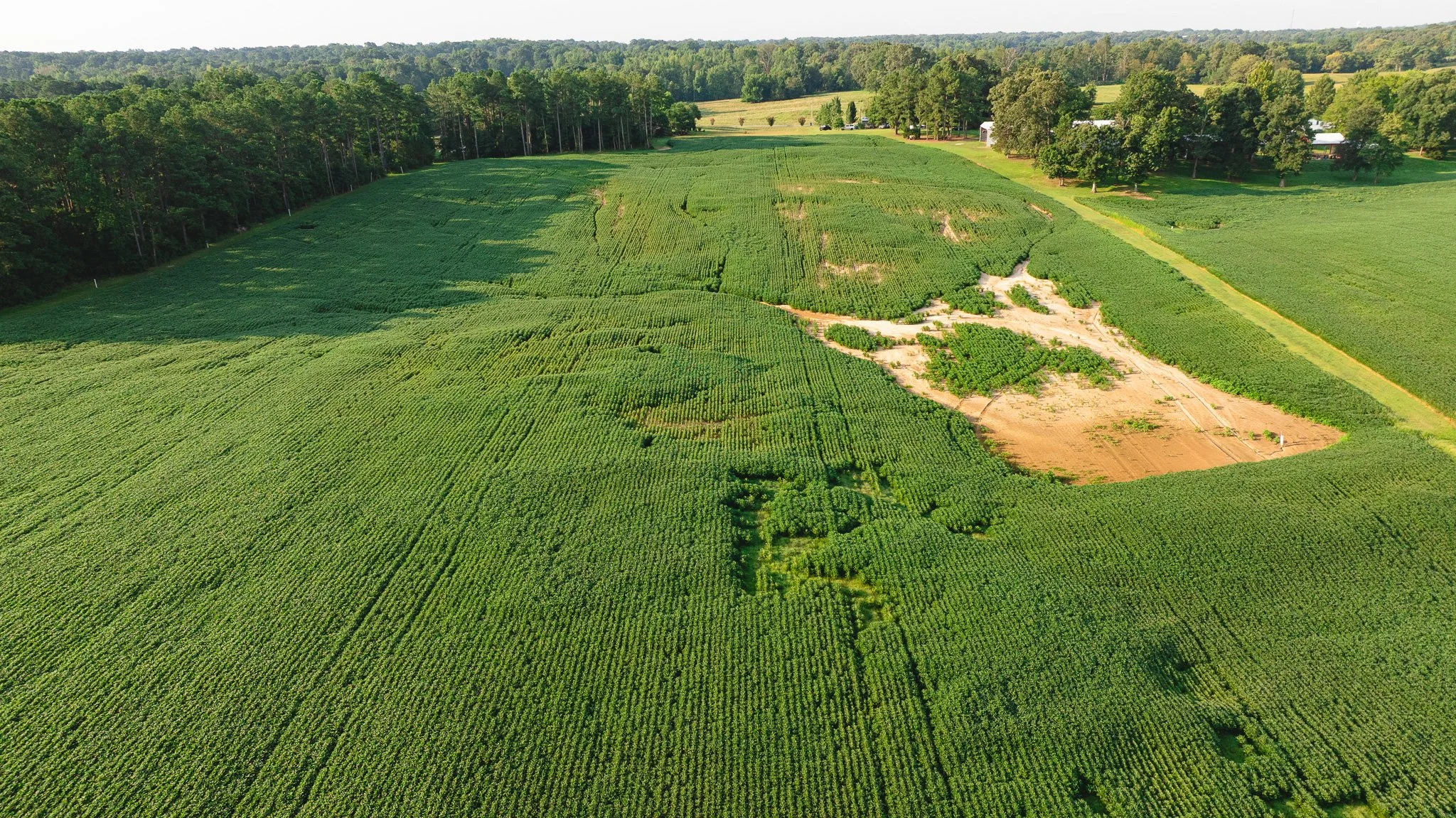 DJI_20260804152020_0066_D.jpg