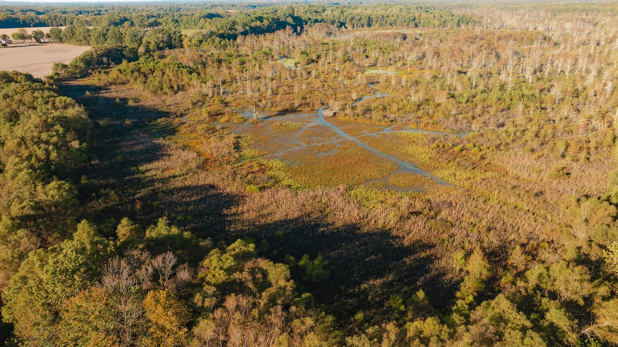 DJI_20261018154428_0008_D.jpg