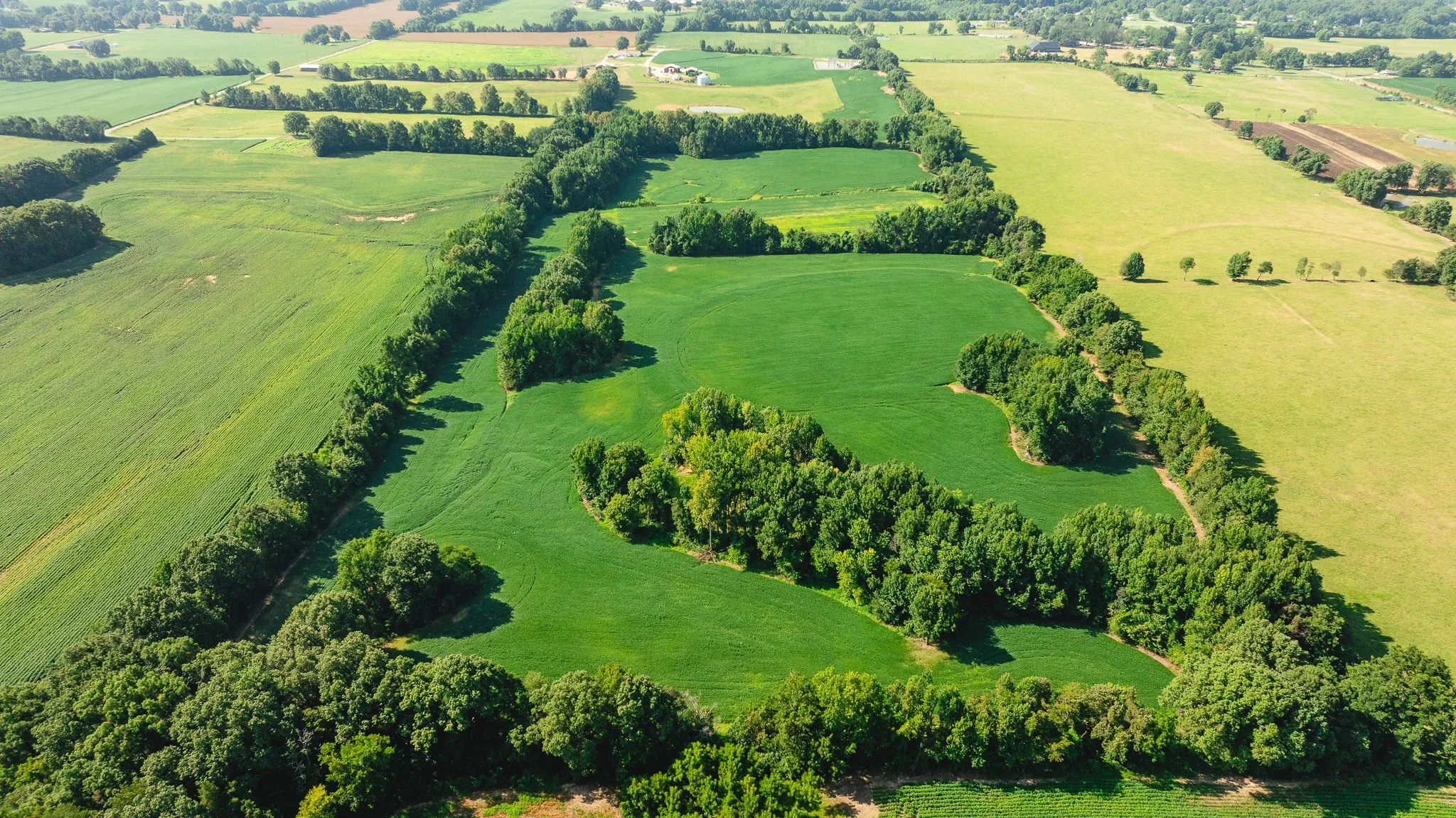 DJI_20260810170349_0091_D.jpg