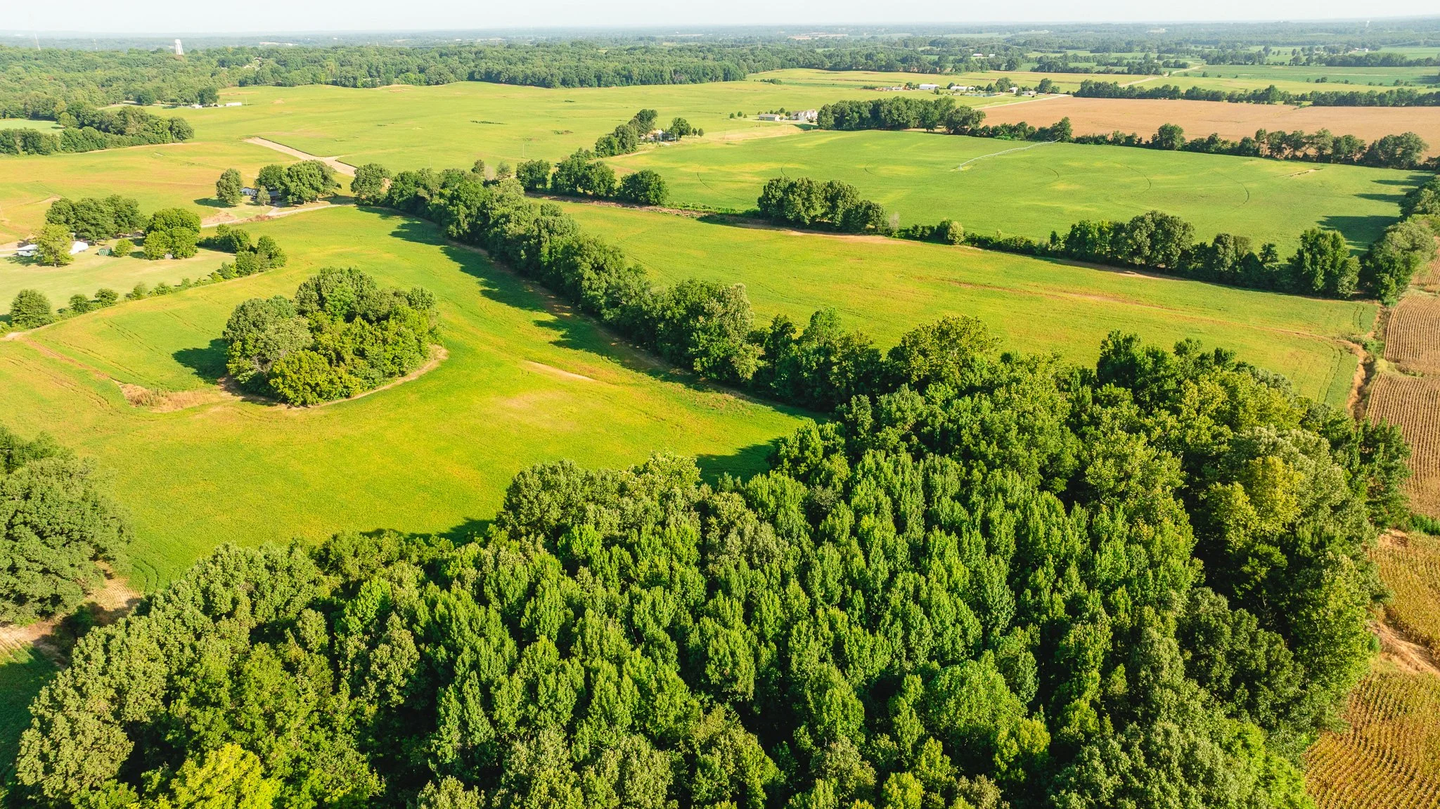 DJI_20260810155730_0044_D.jpg
