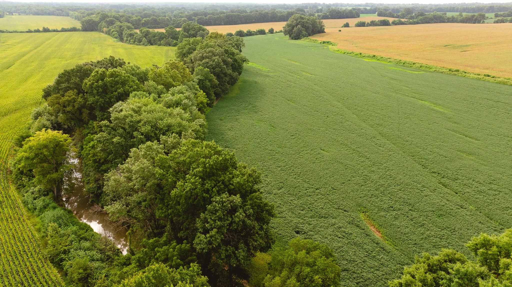 DJI_20260729160806_0081_D.jpg