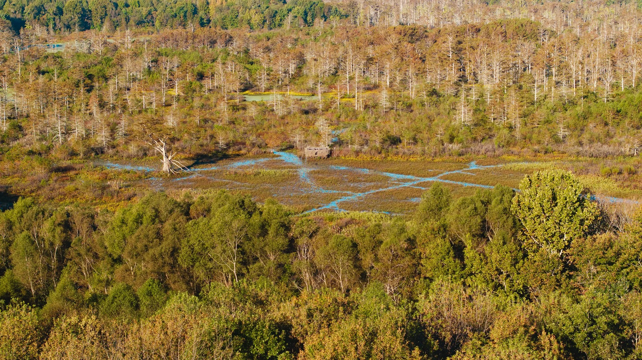 DJI_20261018154235_0004_D.jpg