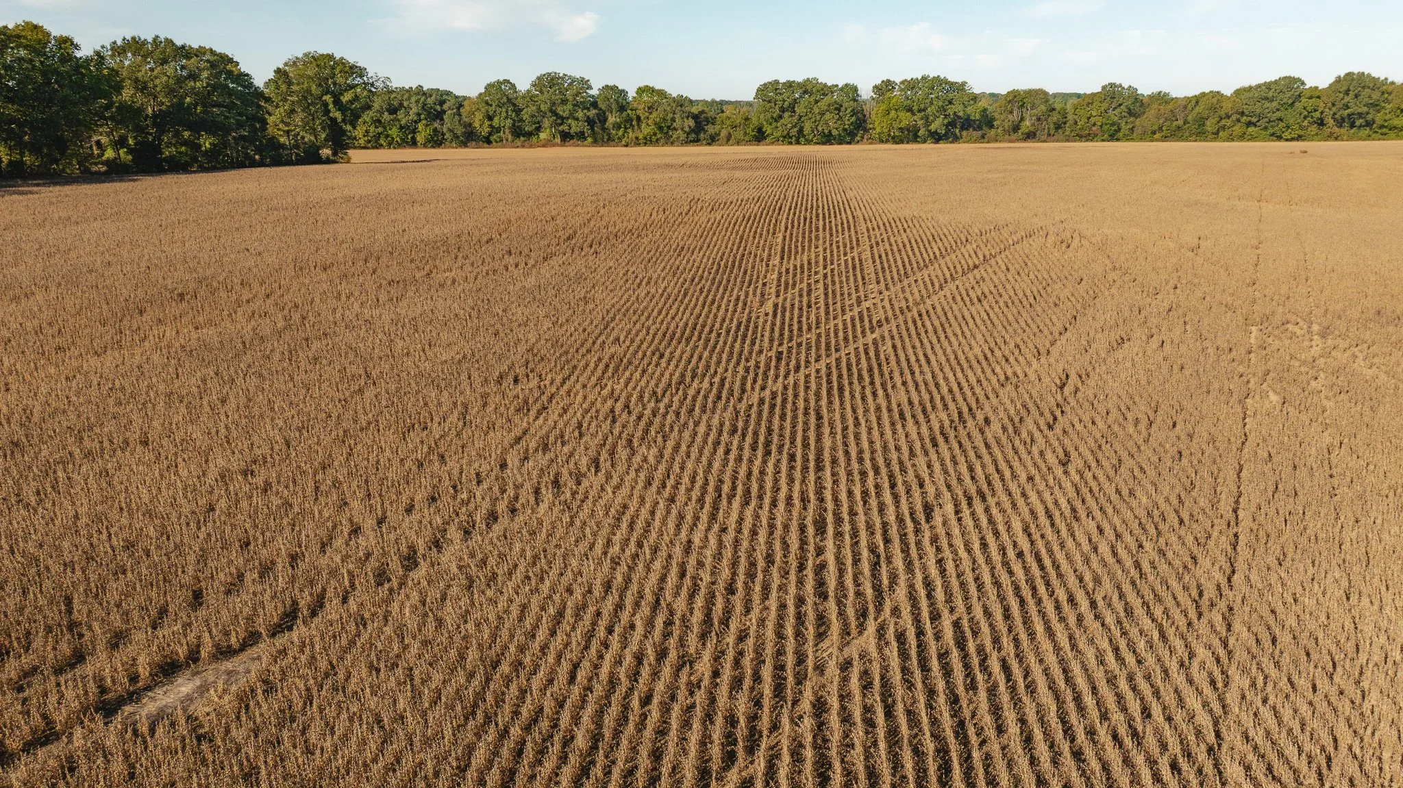 dji_fly_20261018_163636_0093_1792519576868_photo.jpg