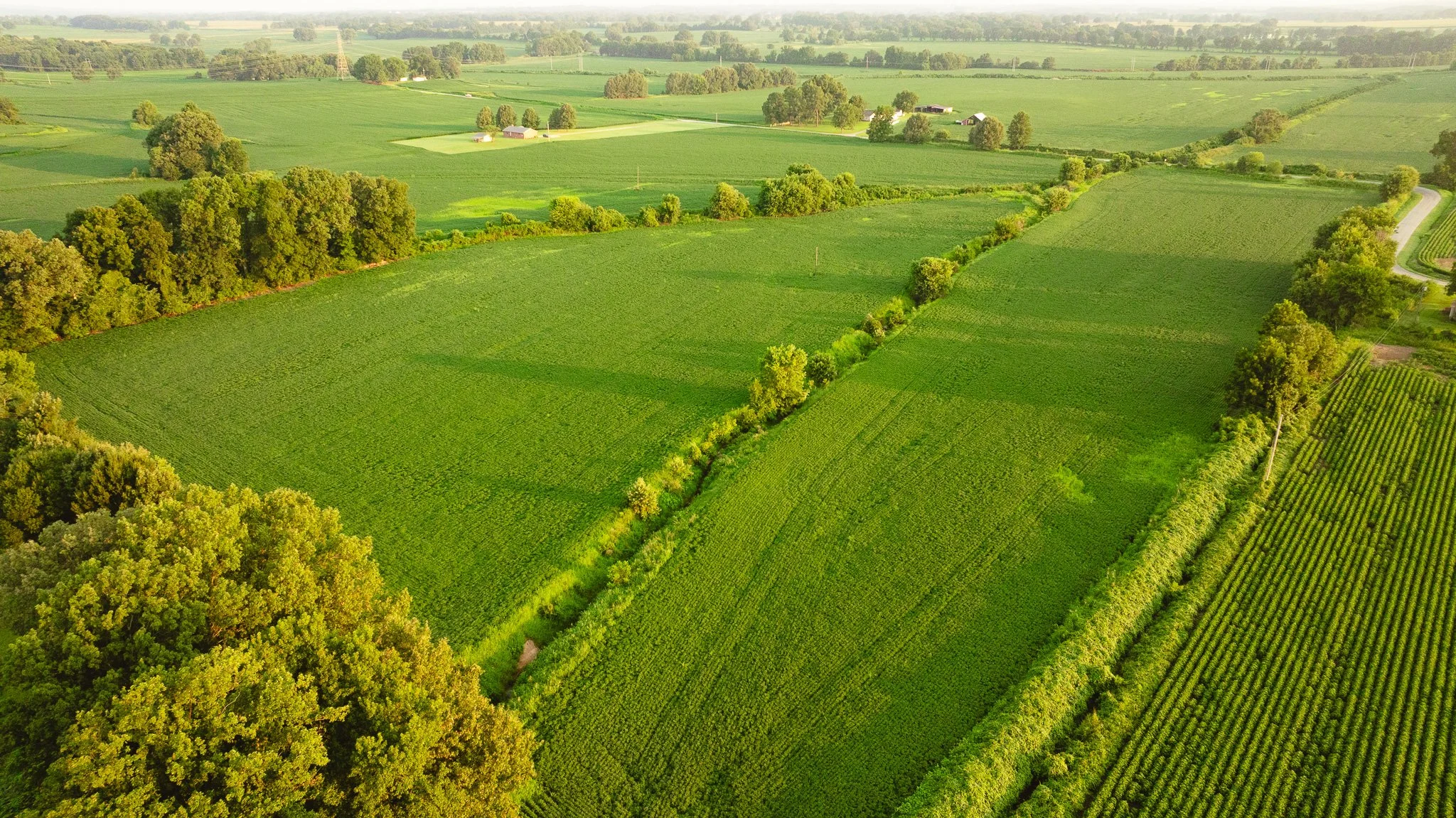 DJI_20260726140134_0042_D.jpg