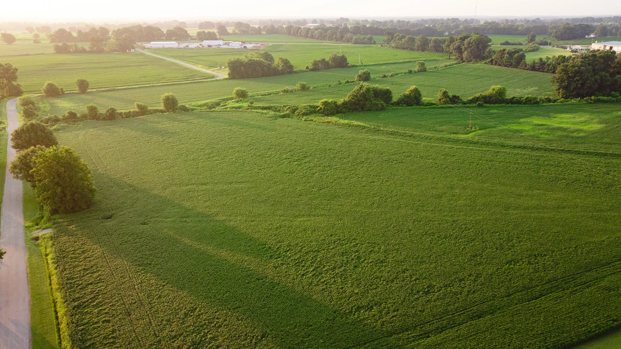 DJI_20260726135920_0035_D.jpg