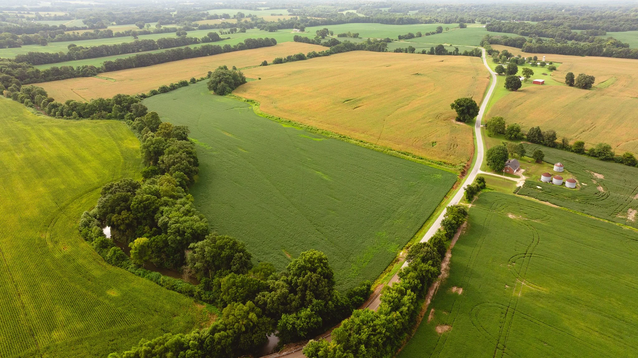 DJI_20260729160738_0079_D.jpg