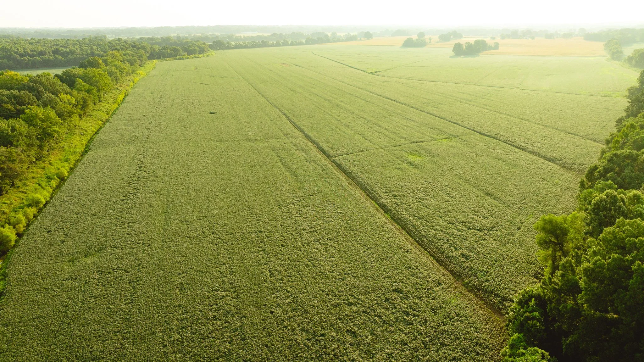 DJI_20260729143917_0059_D.jpg