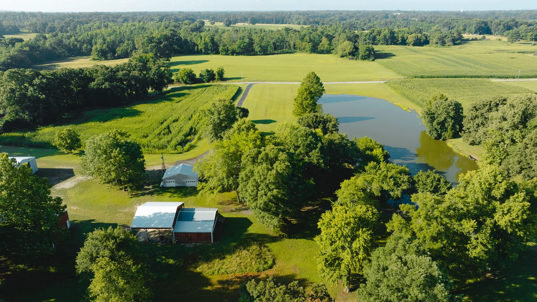 DJI_20260621151651_0024_D.jpg