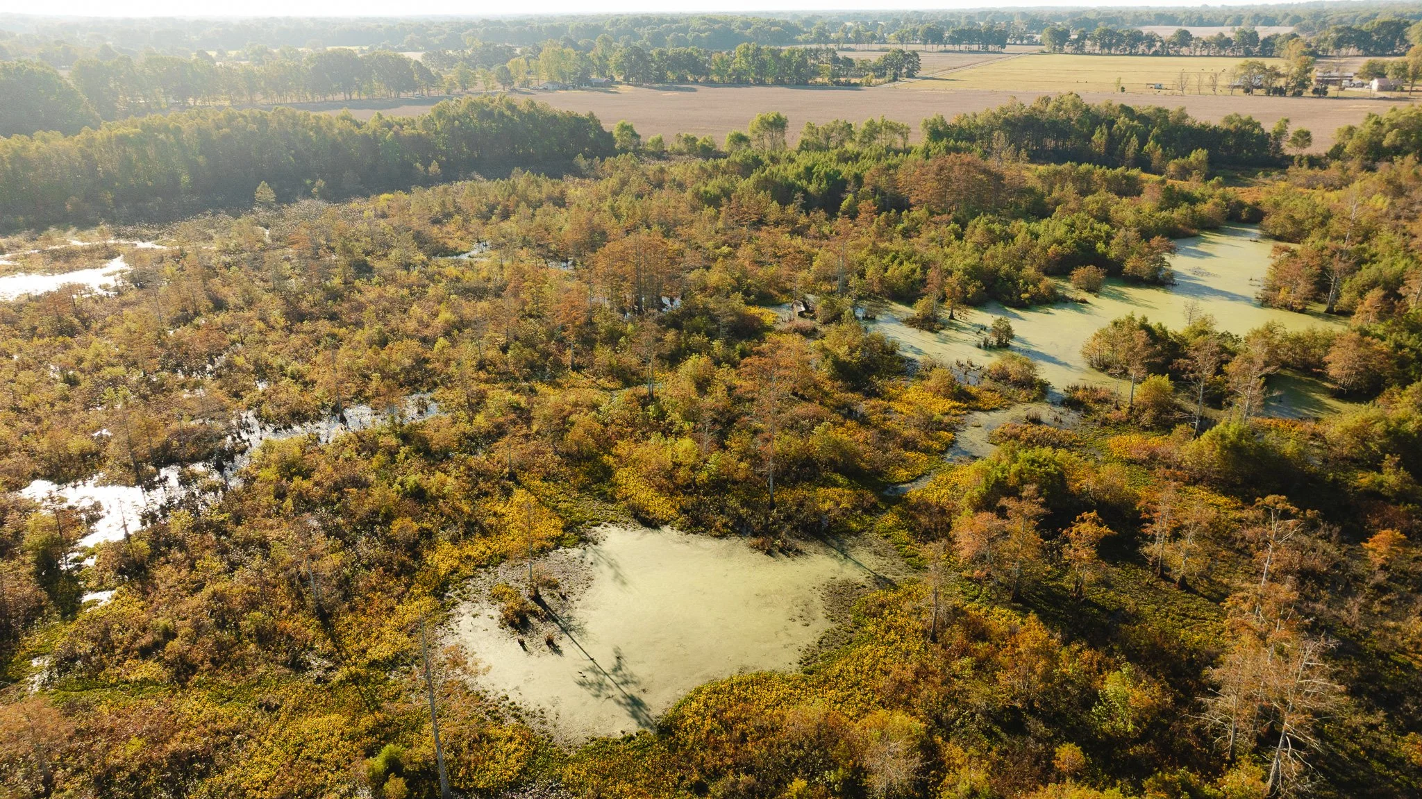 DJI_20261018155201_0023_D.jpg