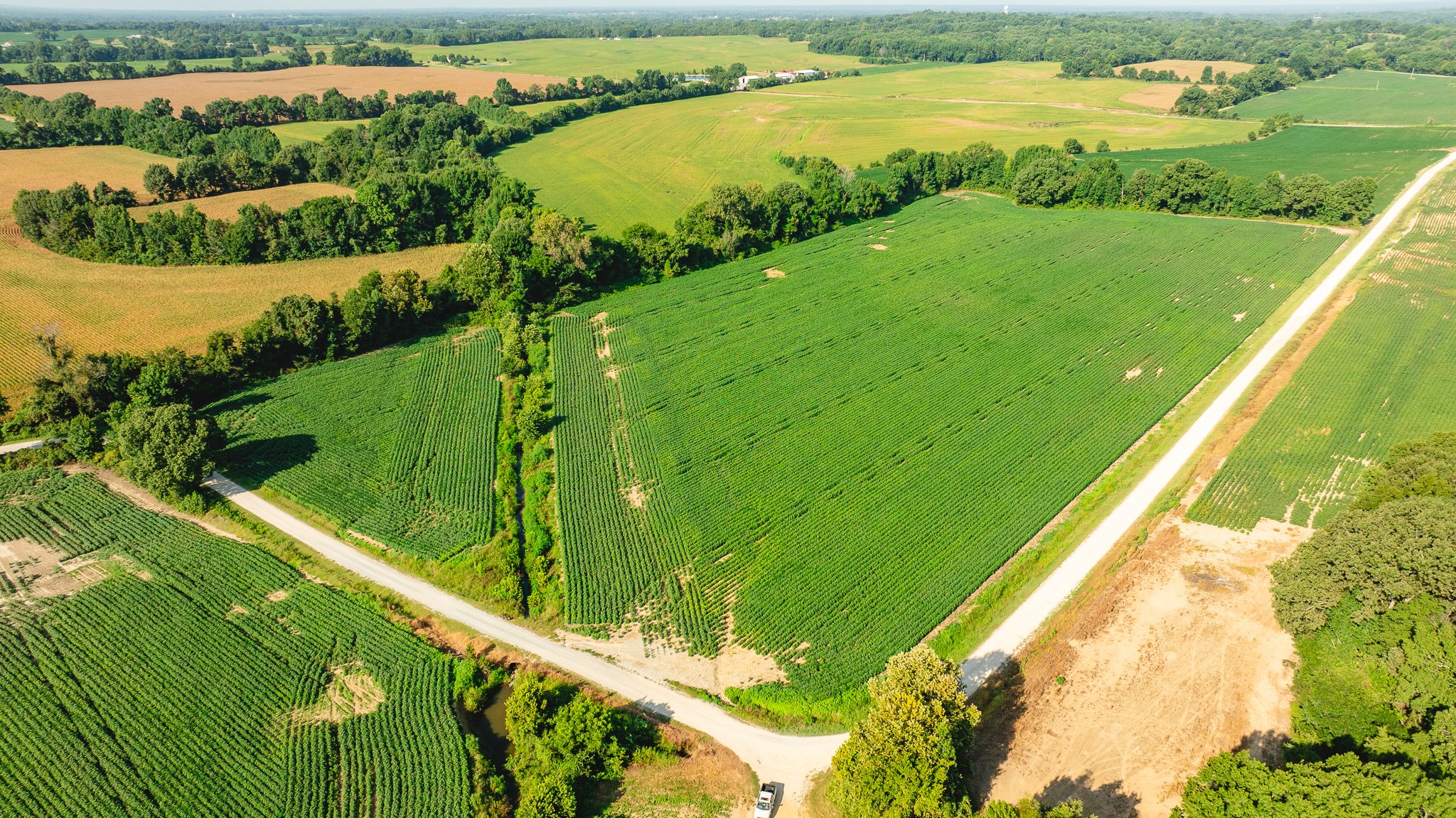 DJI_20260810161222_0062_D.jpg