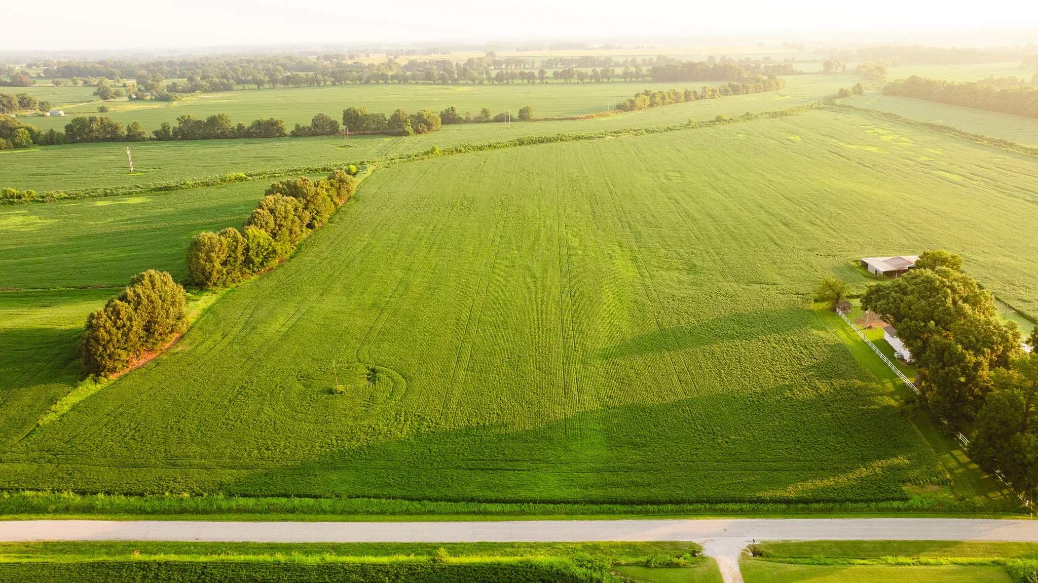 DJI_20260726140657_0051_D.jpg