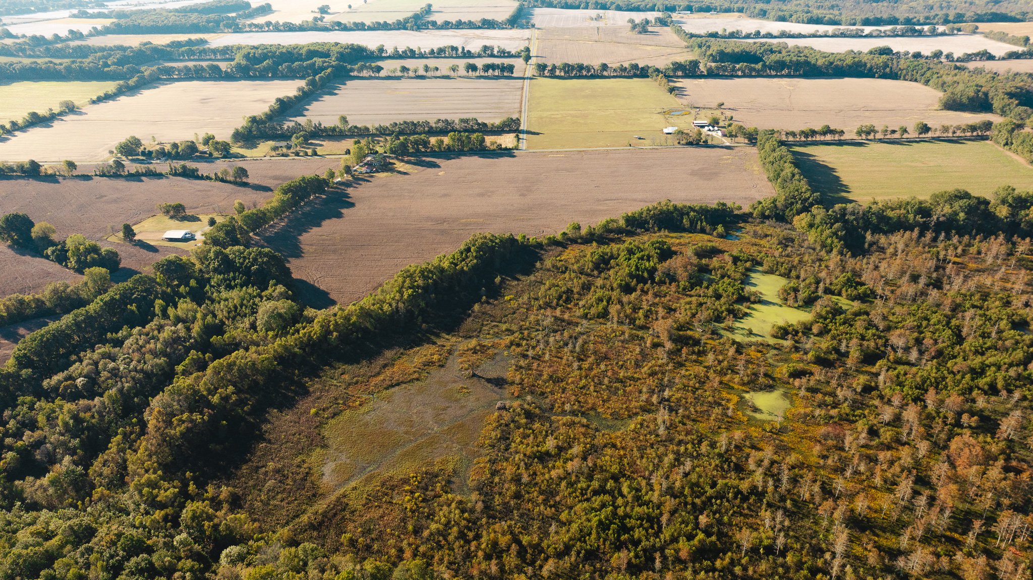 DJI_20261018160639_0049_D.jpg