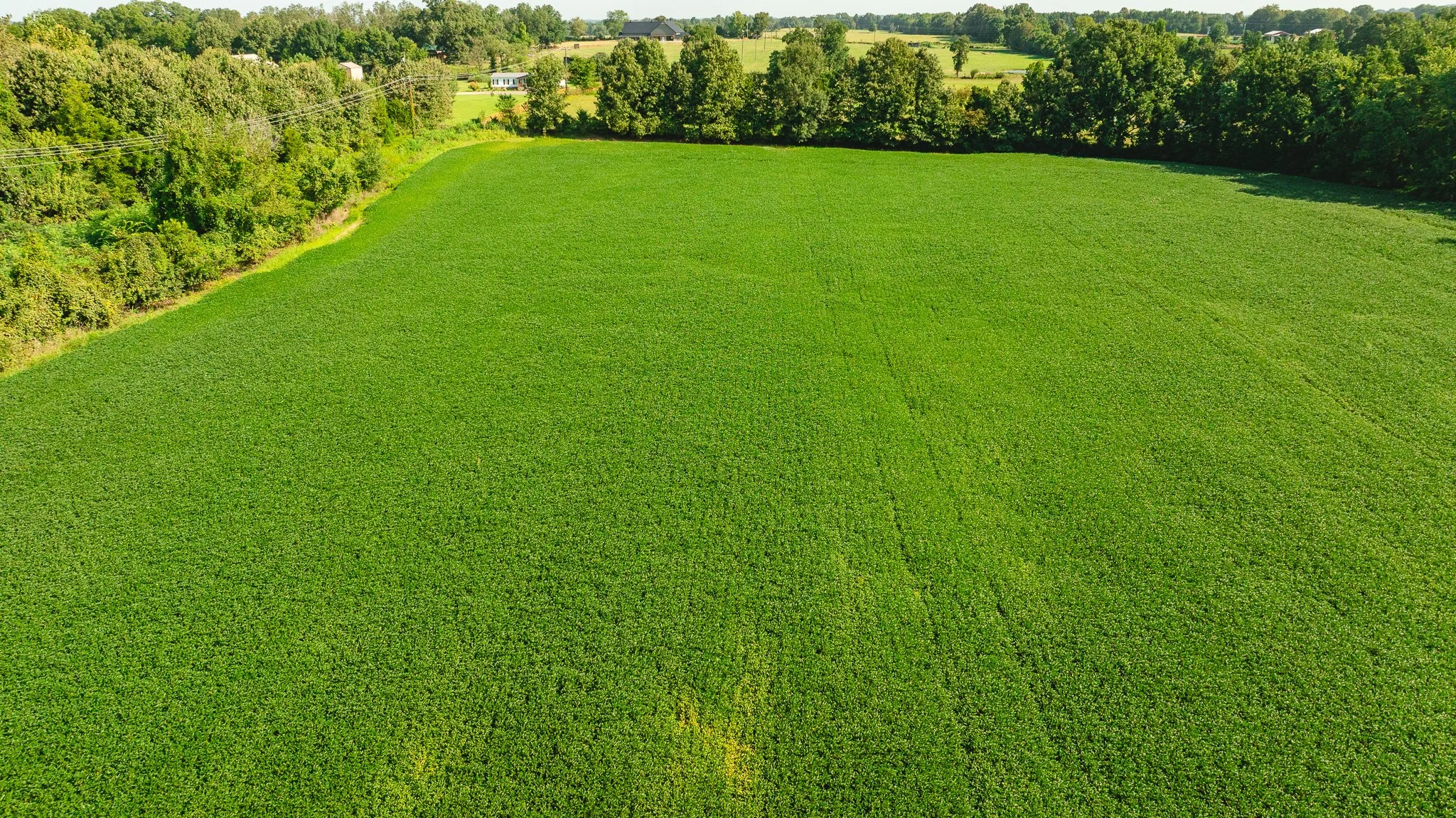 DJI_20260810164138_0084_D.jpg