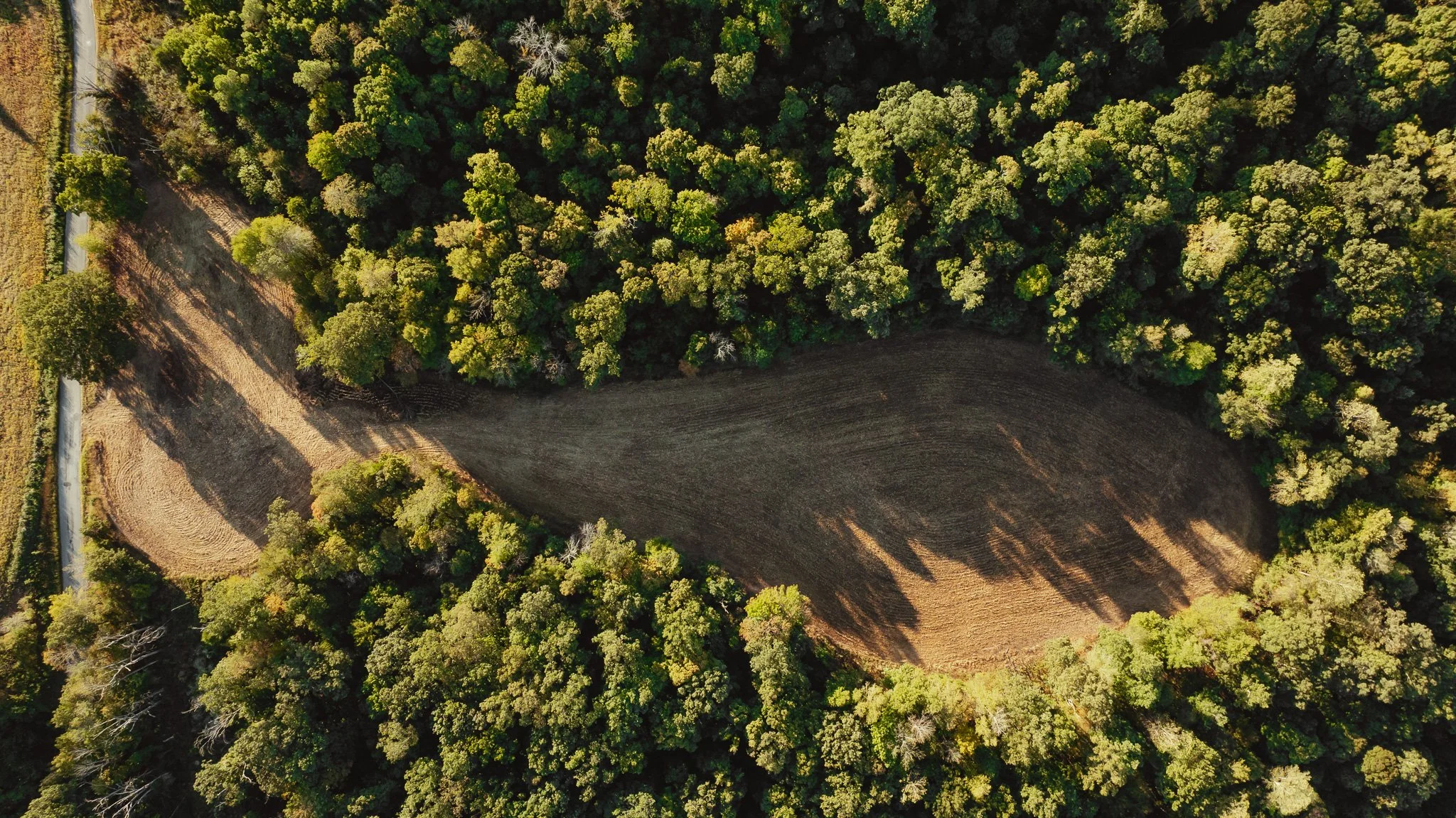 DJI_20261007150633_0015_D.jpg