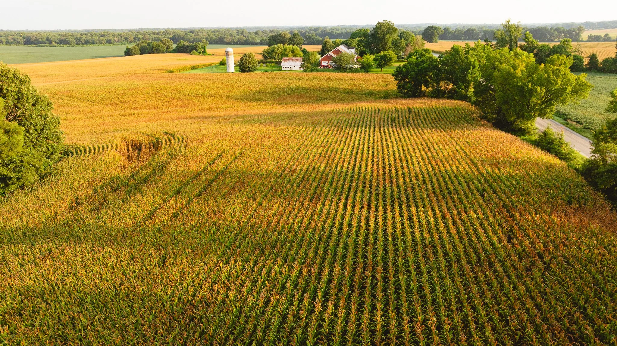 DJI_20260729143336_0040_D.jpg