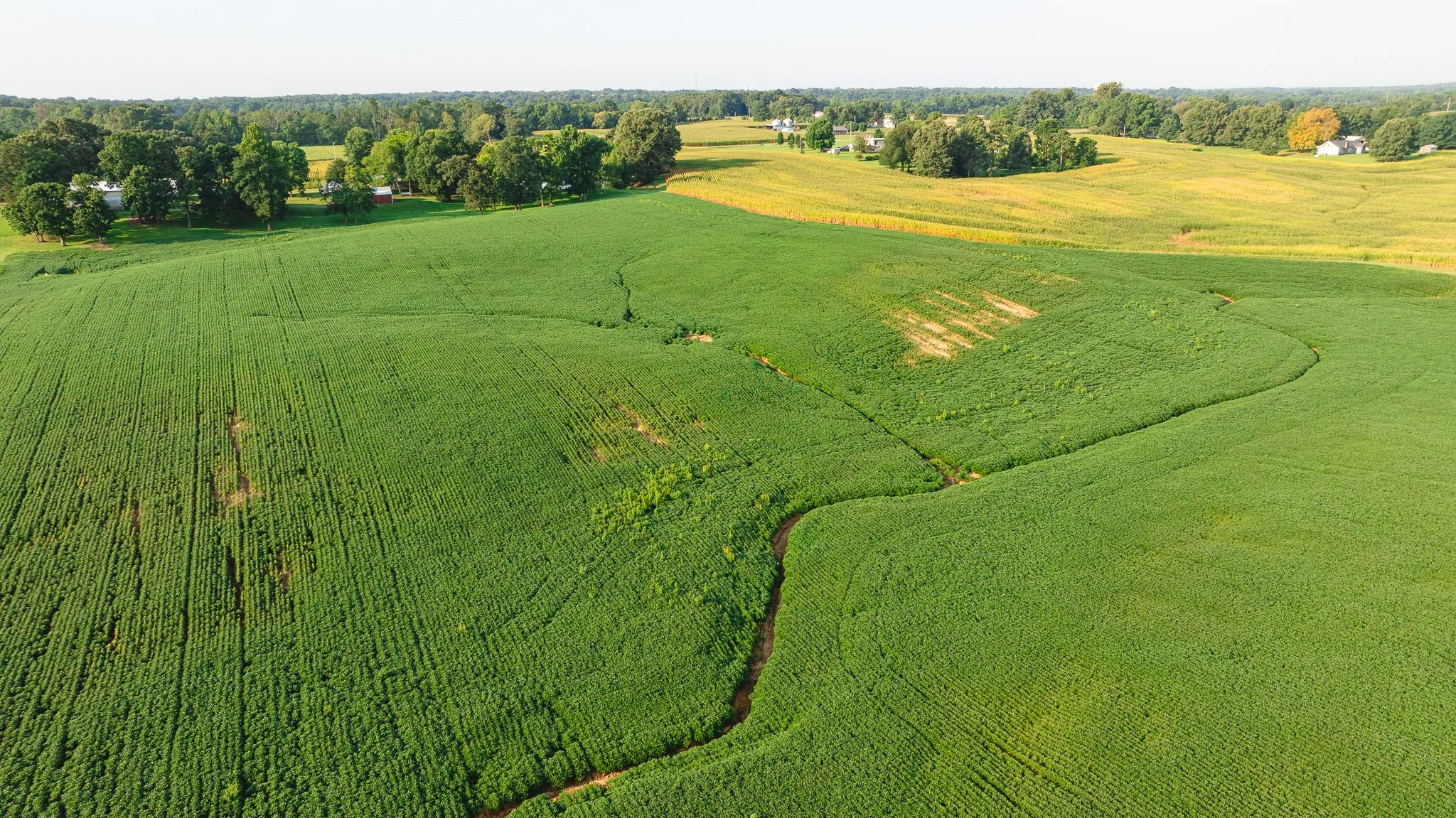 DJI_20260804151959_0064_D.jpg