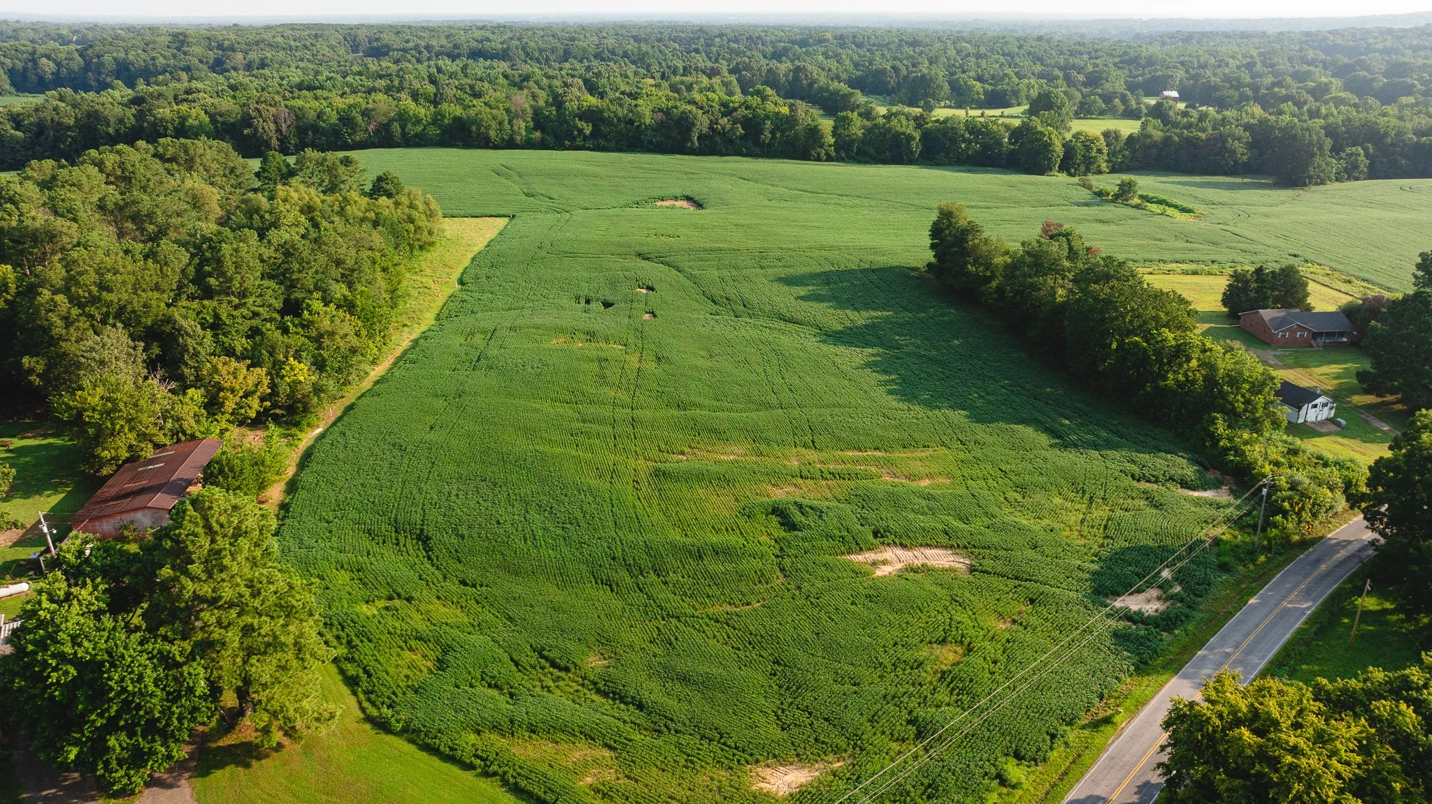 DJI_20260804152142_0071_D.jpg