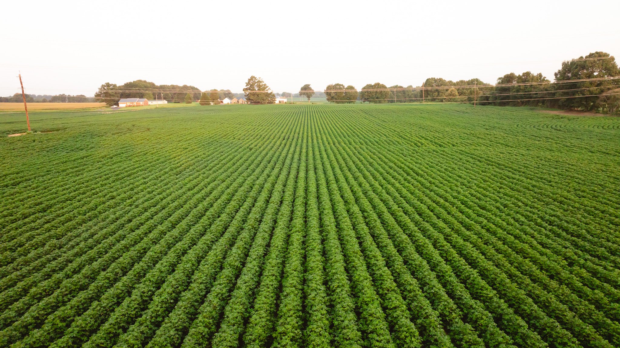 DJI_20260726134549_0012_D.jpg