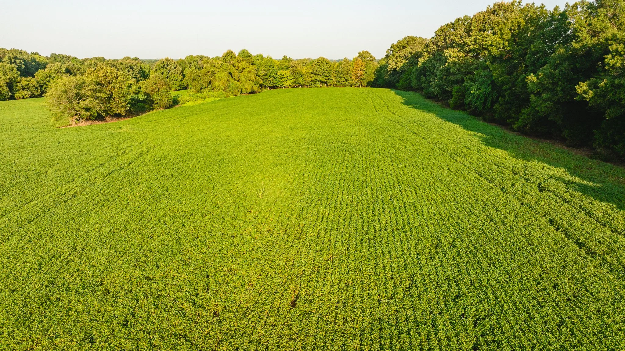DJI_20260810150241_0012_D.jpg