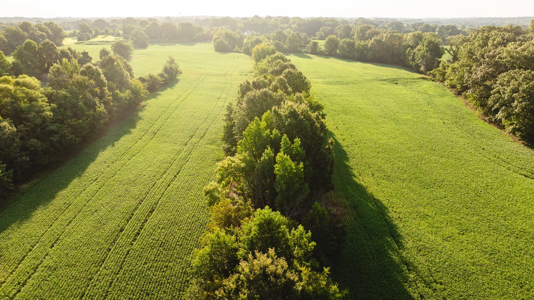 DJI_20260810150902_0027_D.jpg