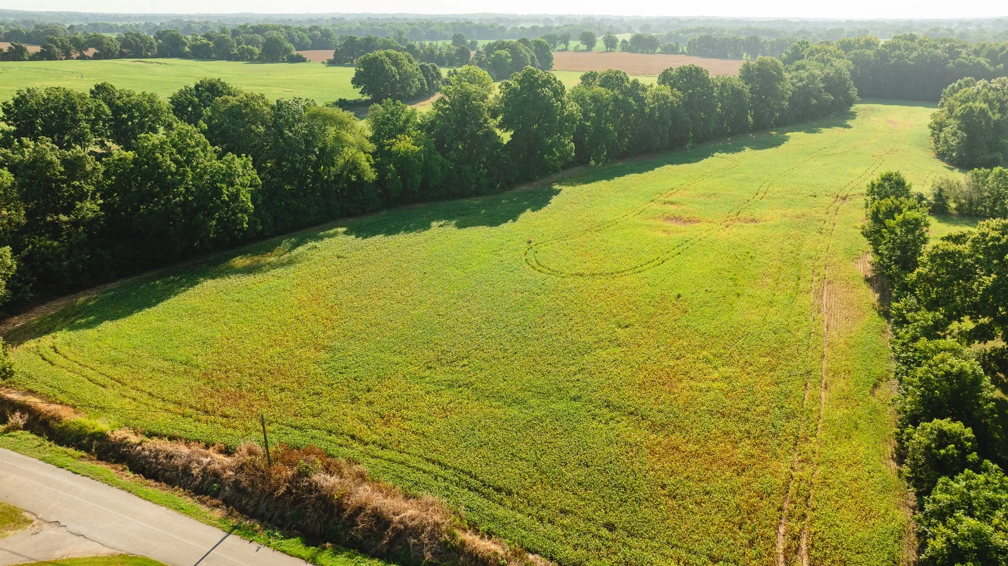 DJI_20260810155909_0048_D.jpg