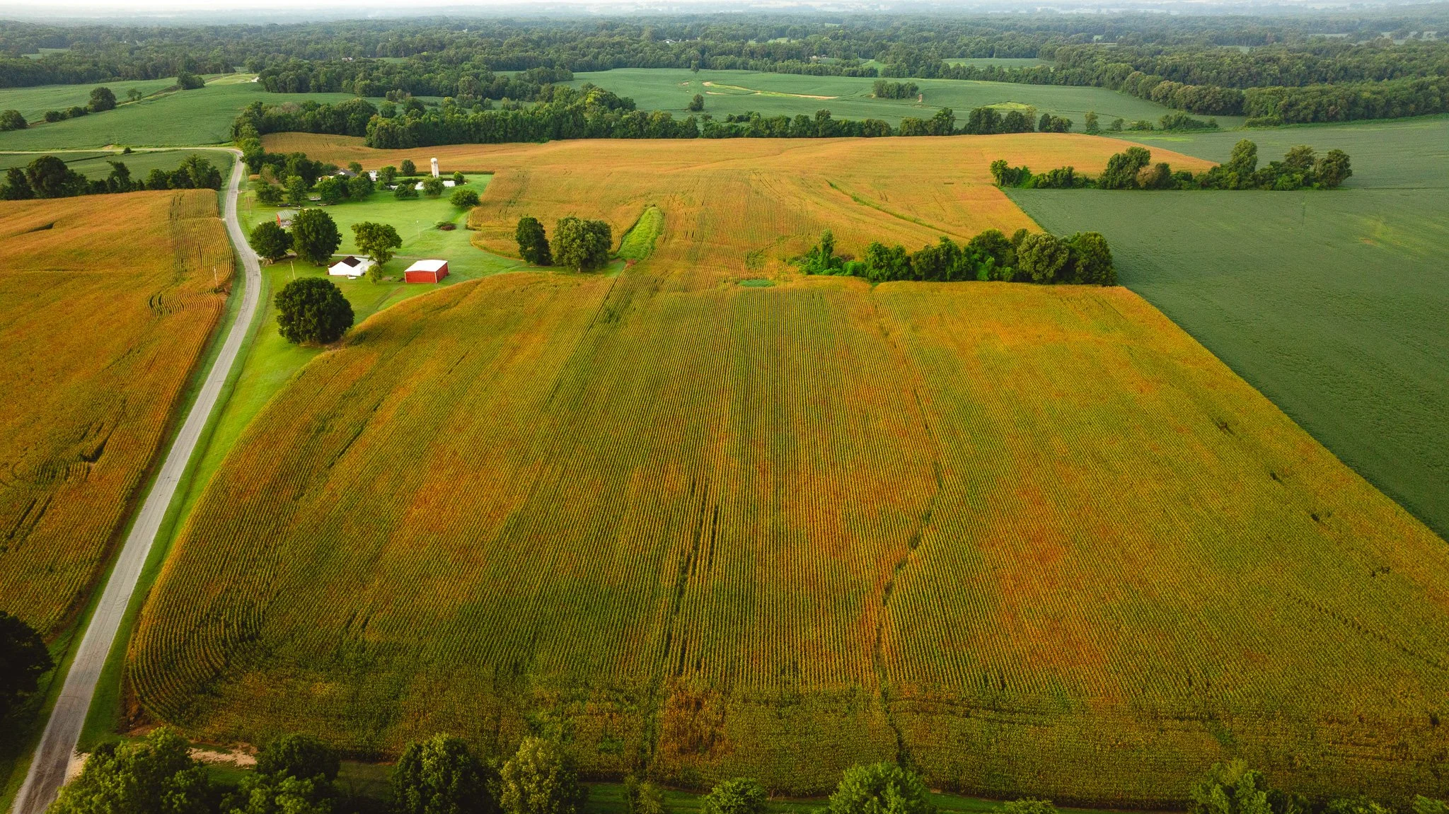 DJI_20260729142052_0004_D.jpg