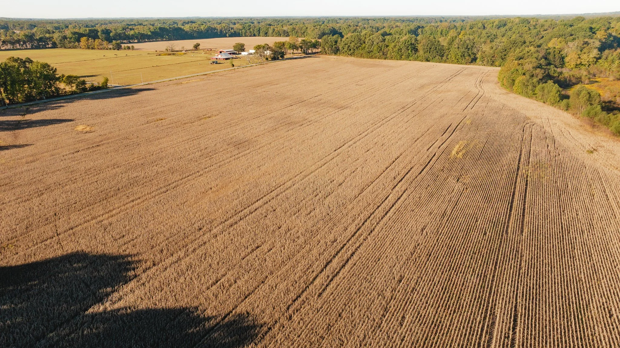 DJI_20261018154901_0016_D.jpg