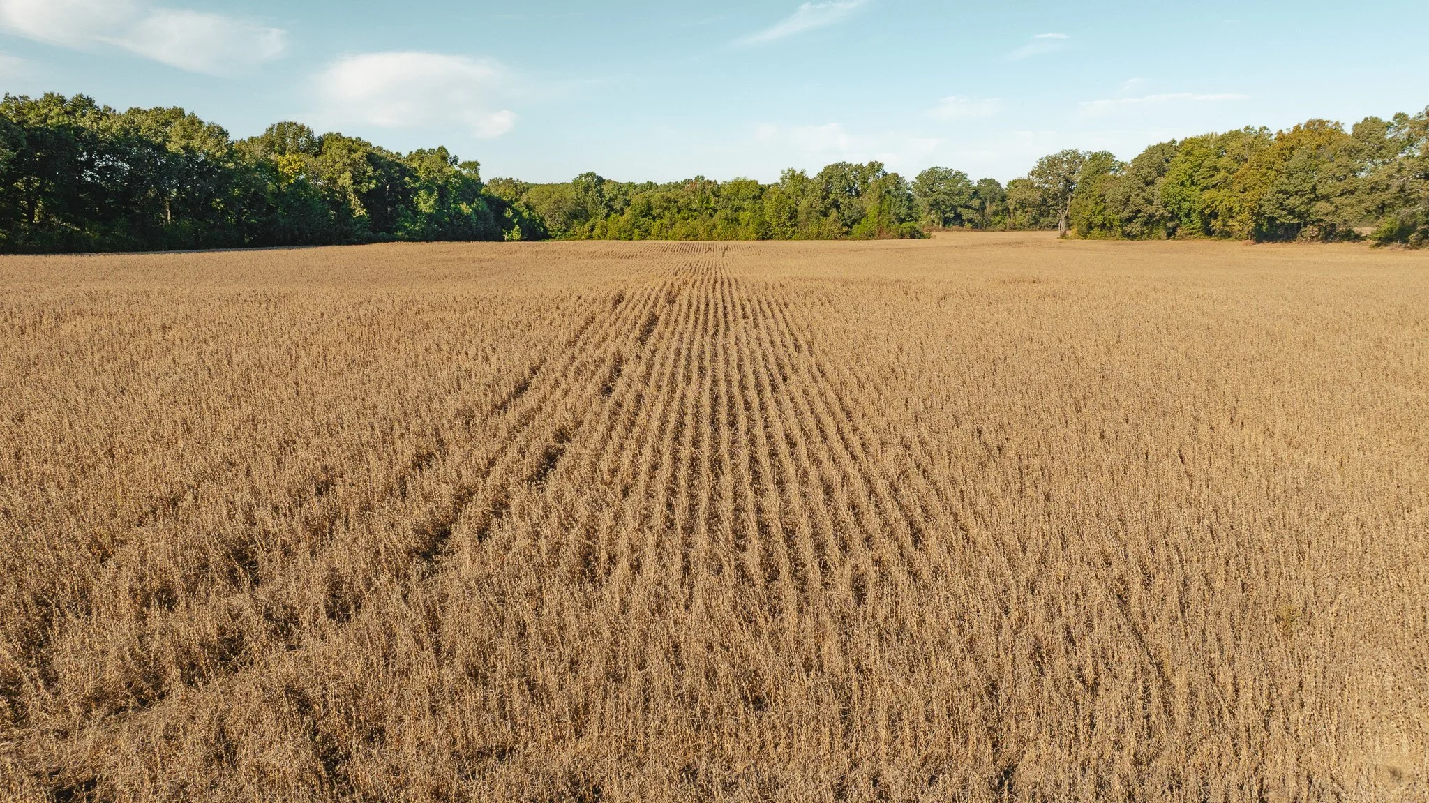 dji_fly_20261018_163448_0089_1792519578601_photo.jpg