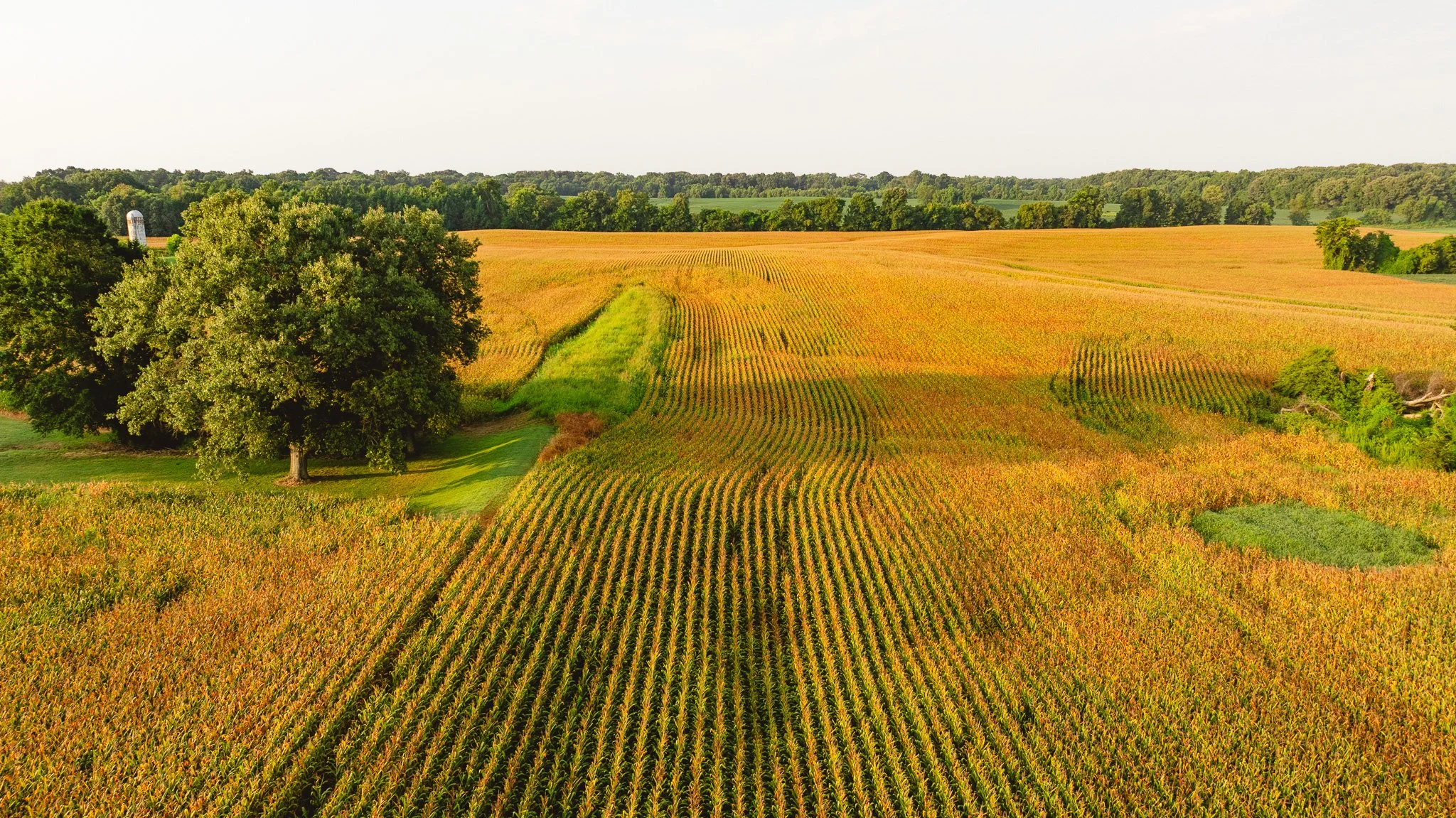 DJI_20260729143020_0029_D.jpg