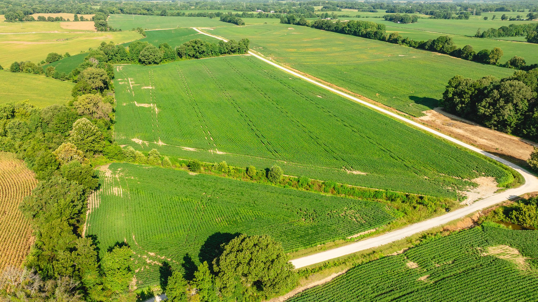 DJI_20260810161246_0063_D.jpg
