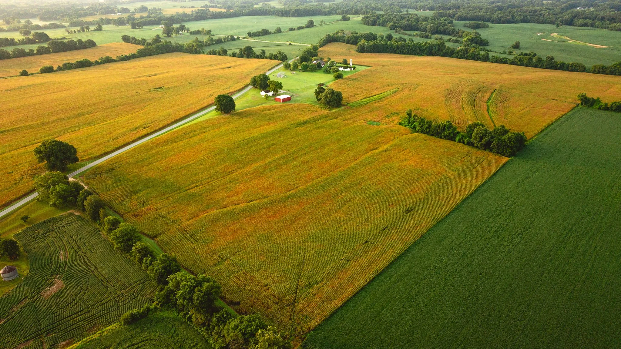 DJI_20260729142024_0003_D.jpg