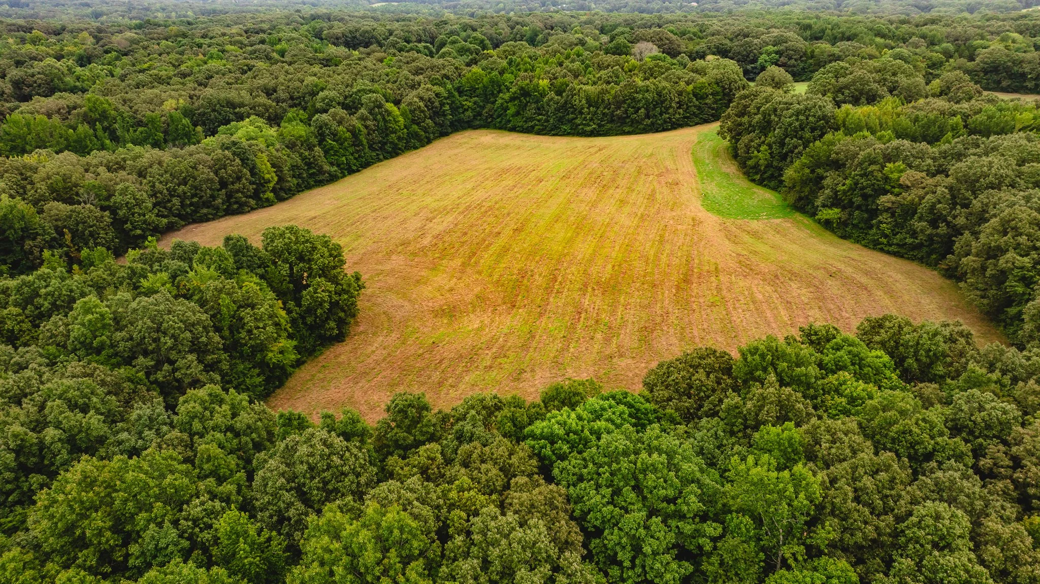 DJI_20260817172314_0027_D.jpg