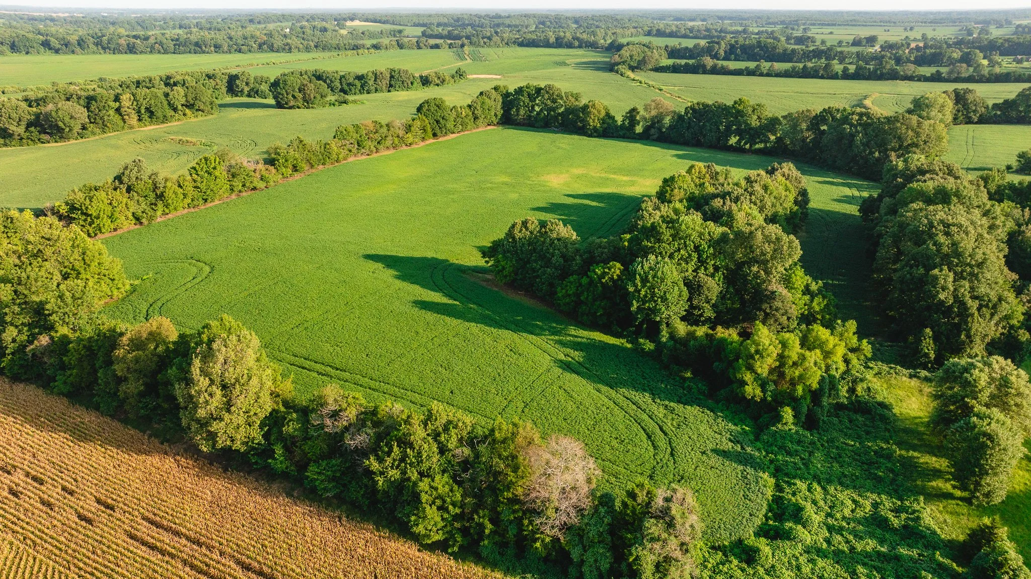 DJI_20260810150755_0024_D.jpg