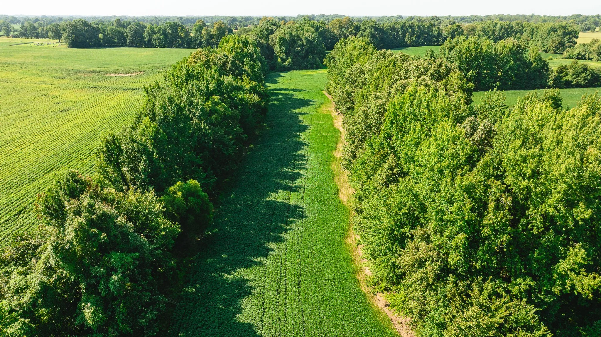 DJI_20260810170600_0096_D.jpg