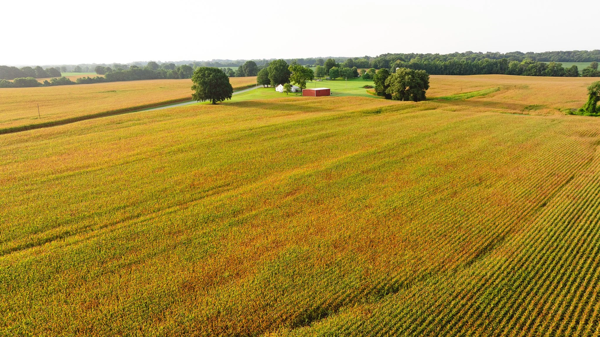 DJI_20260729144611_0078_D.jpg