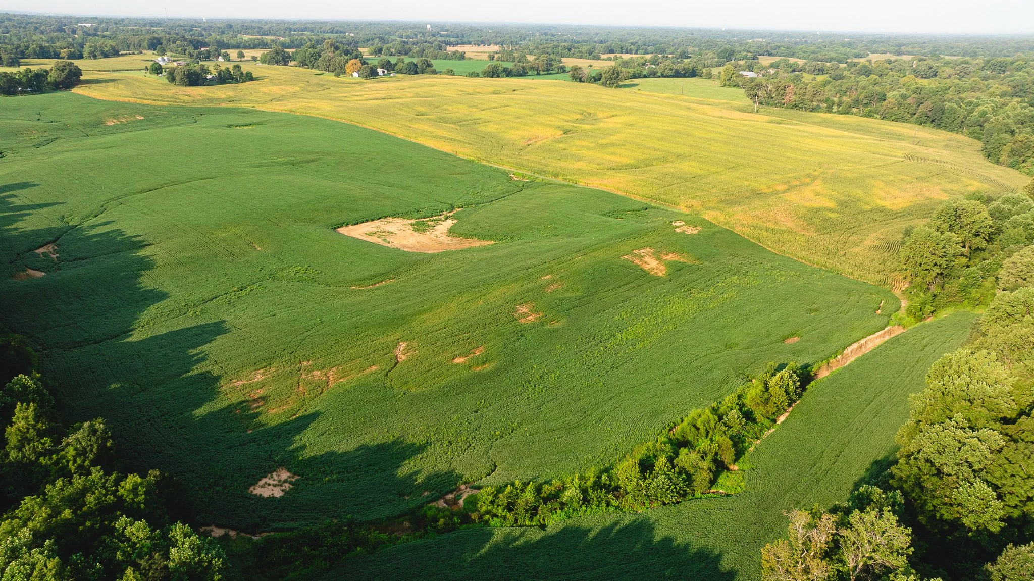 DJI_20260804151907_0061_D.jpg