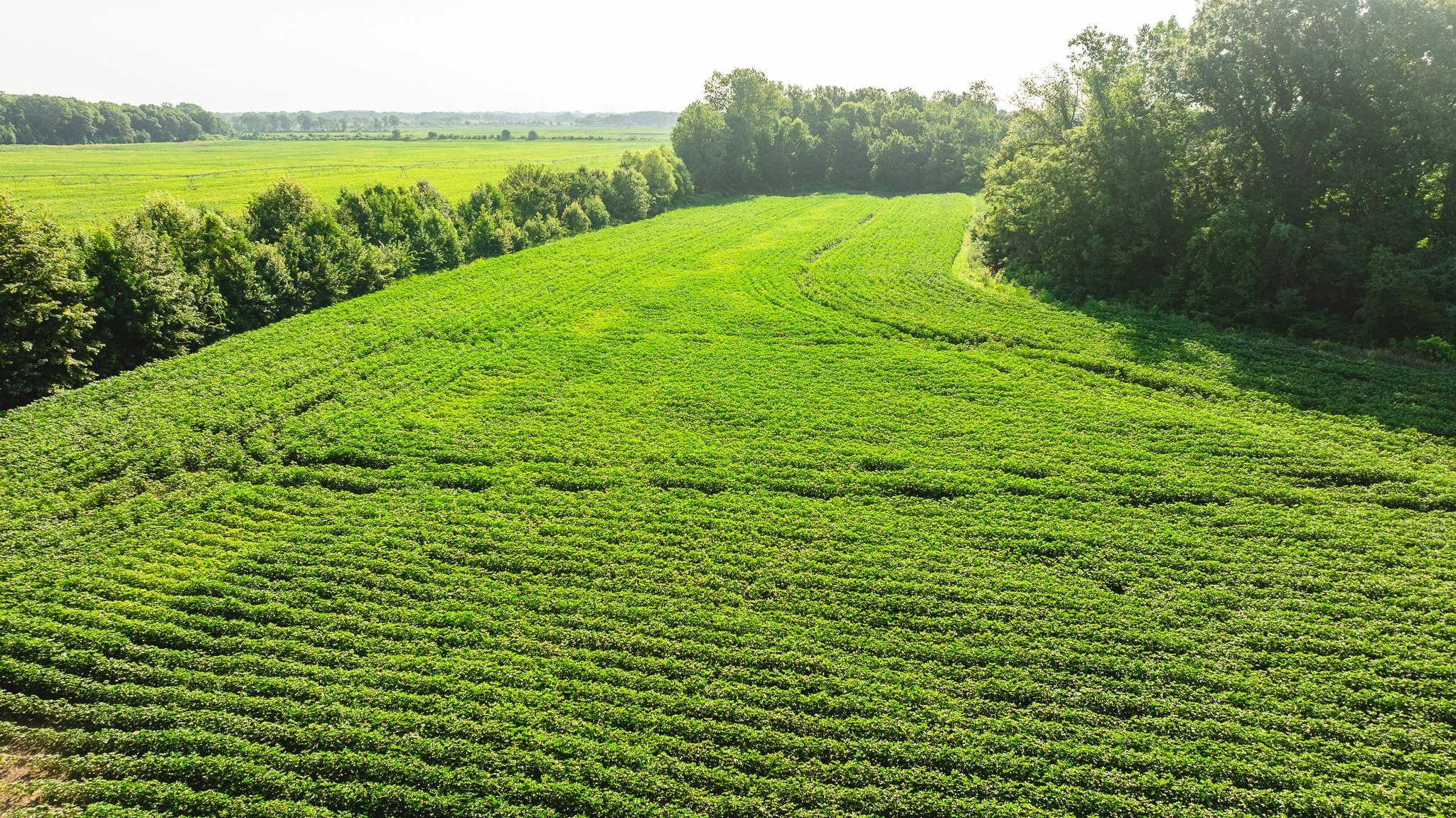 DJI_20260810161119_0058_D.jpg
