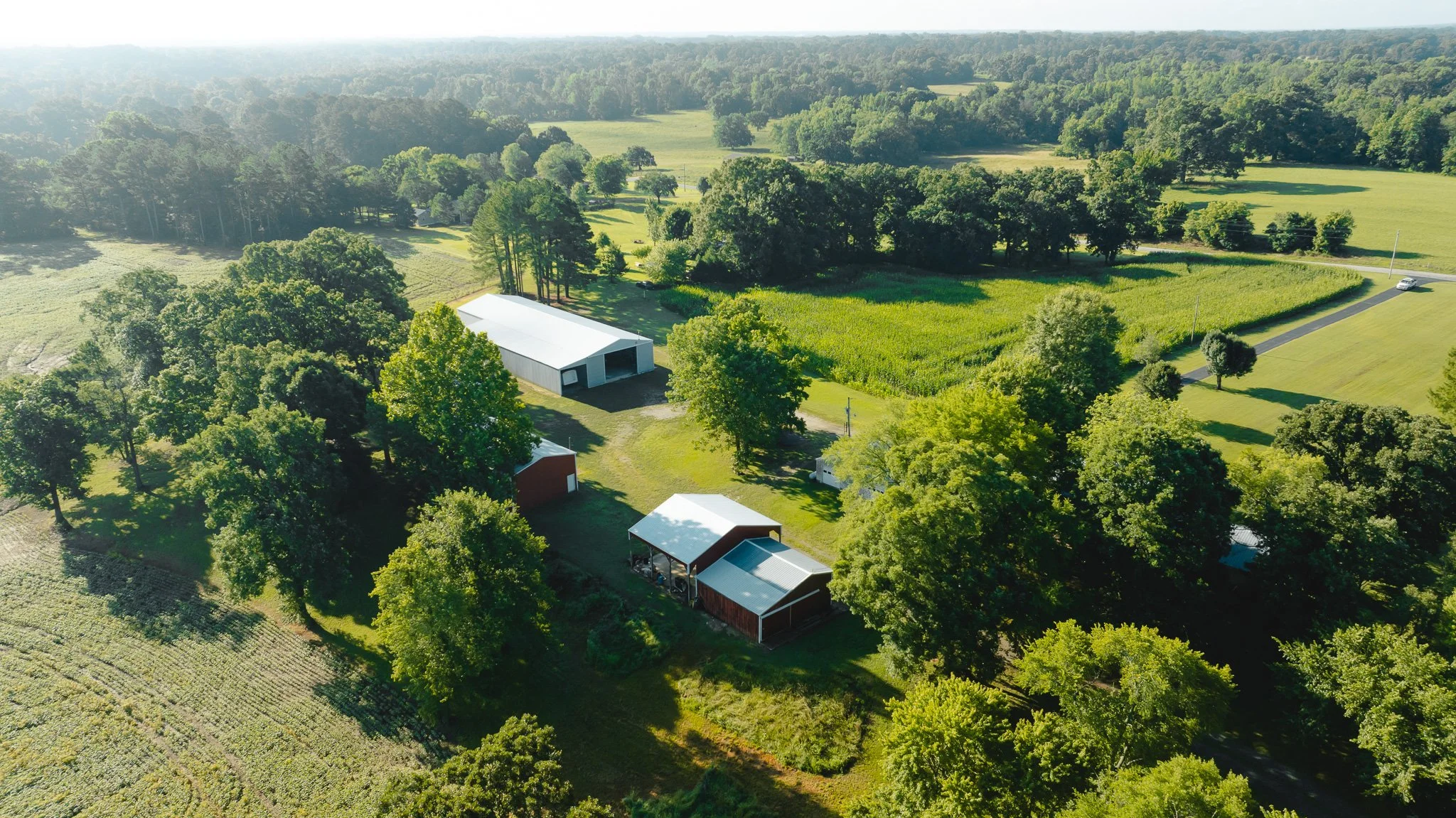 DJI_20260621151642_0023_D.jpg