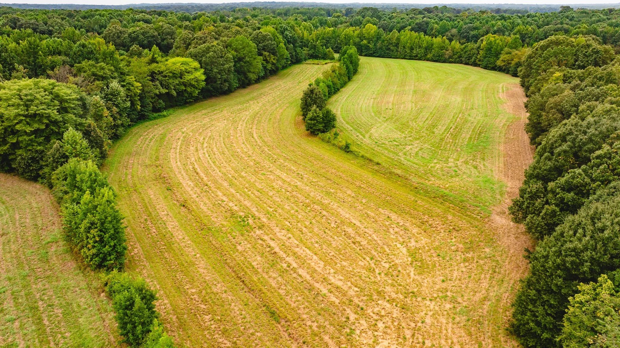 DJI_20260817172502_0030_D.jpg