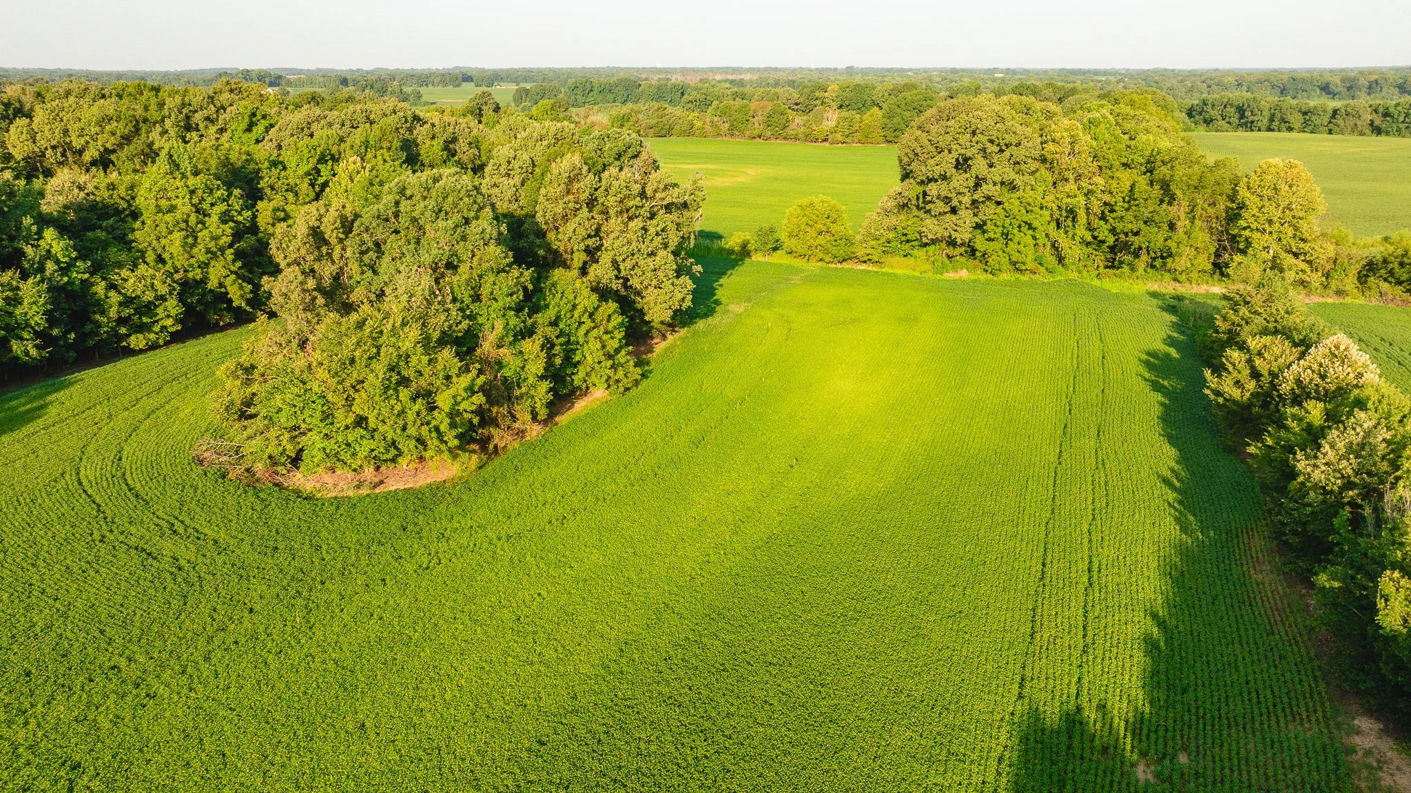 DJI_20260810150558_0020_D.jpg