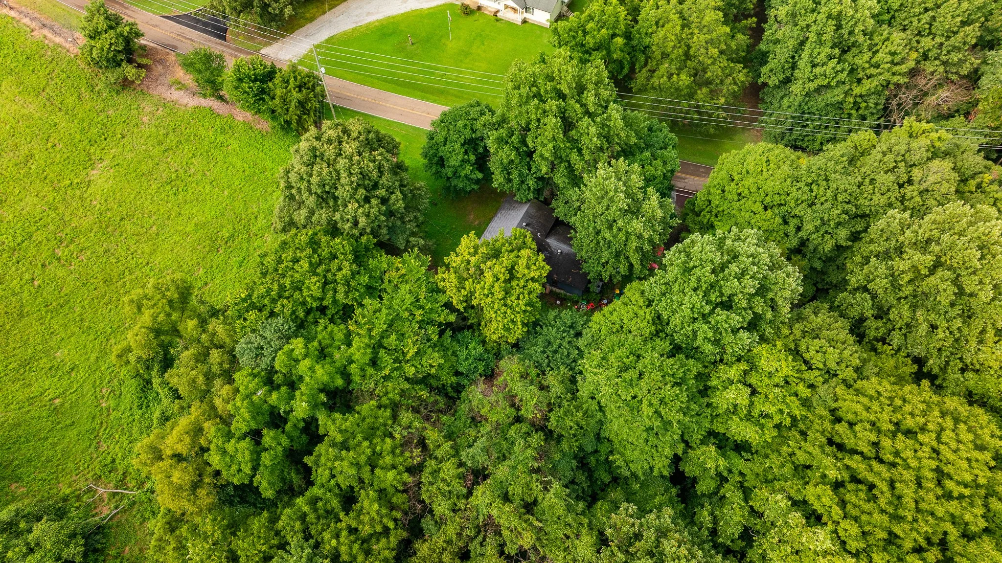 DJI_20260713163309_0154_D.jpg