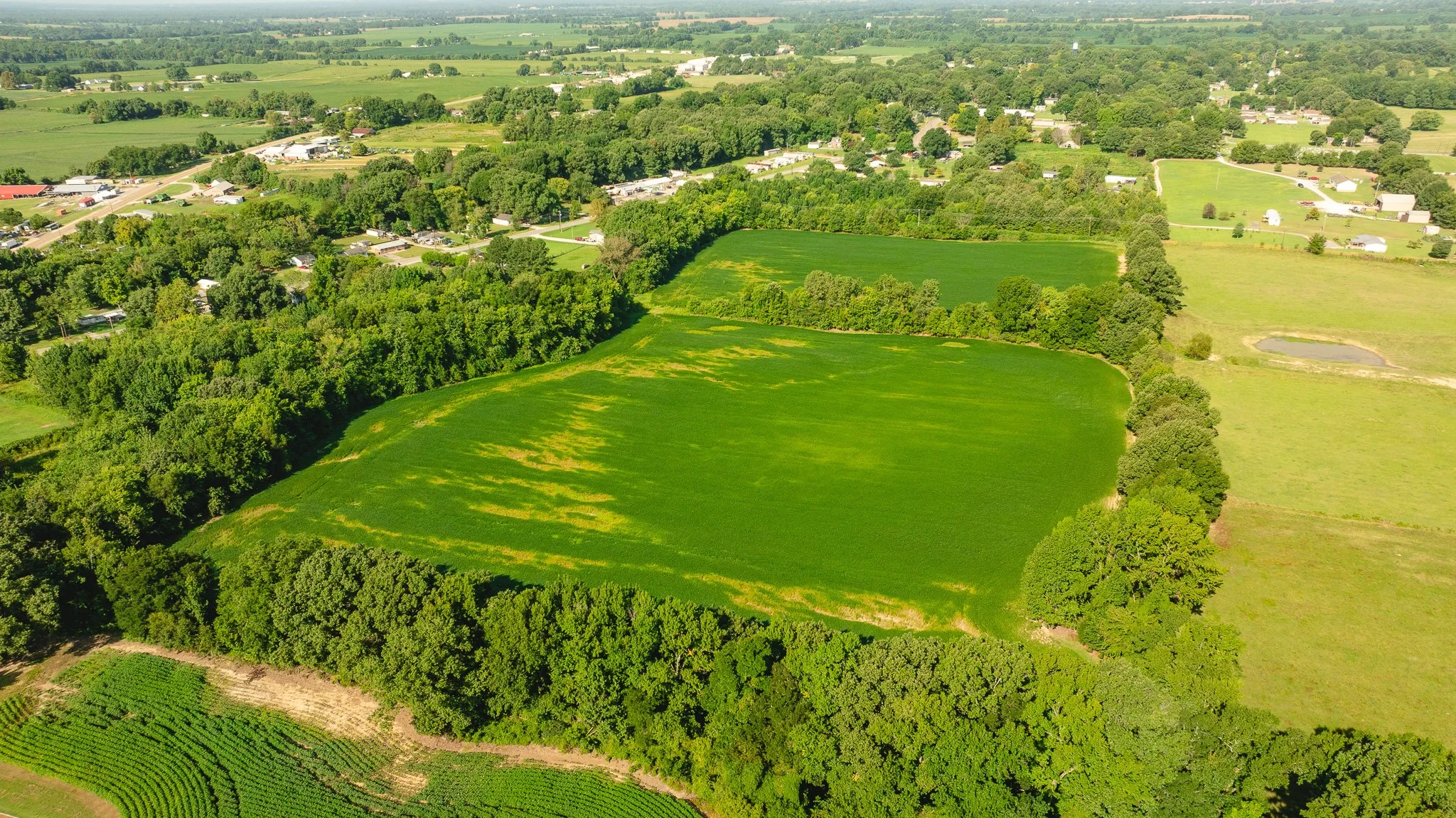 DJI_20260810163920_0078_D.jpg