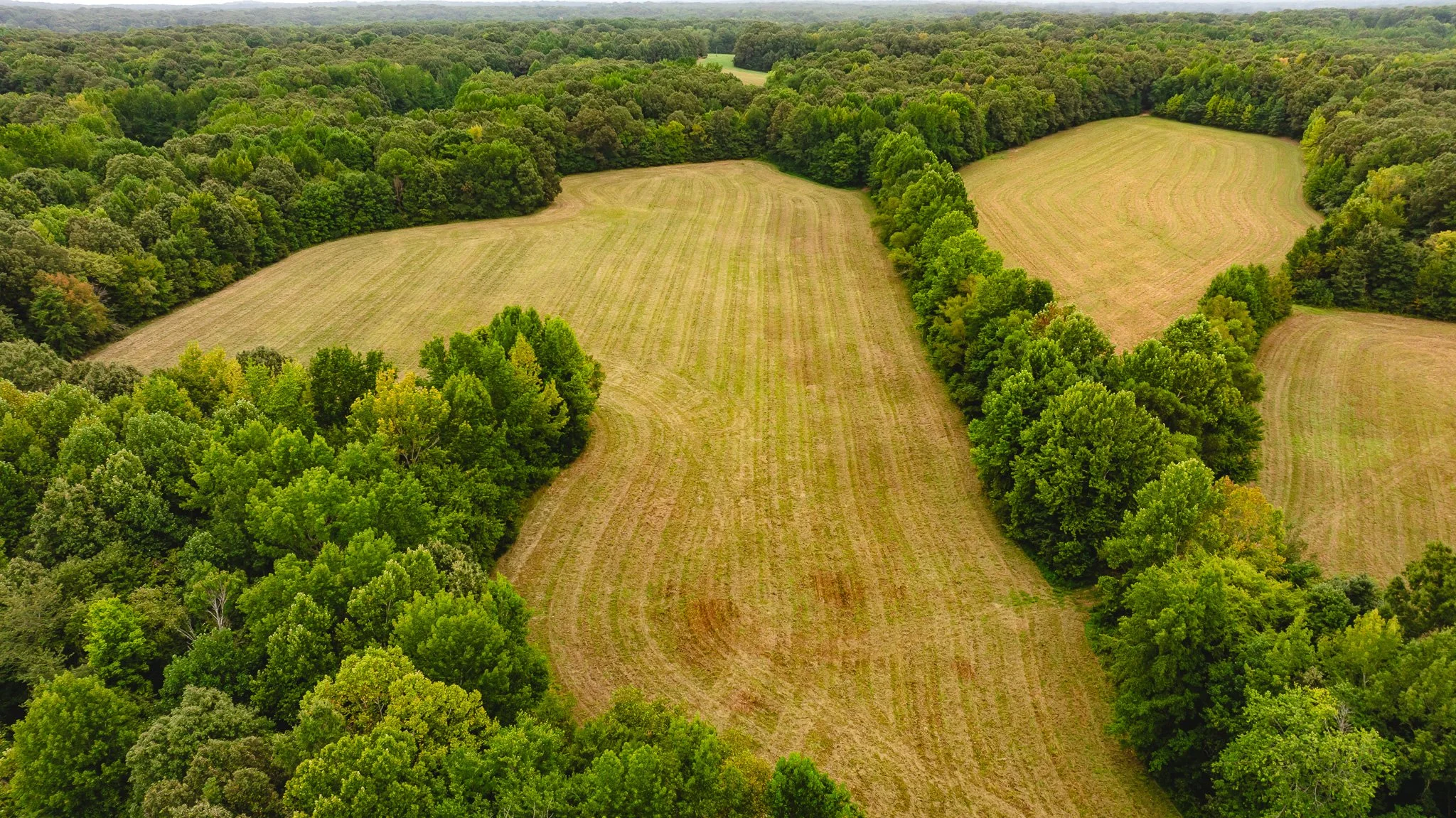 DJI_20260817171850_0017_D.jpg