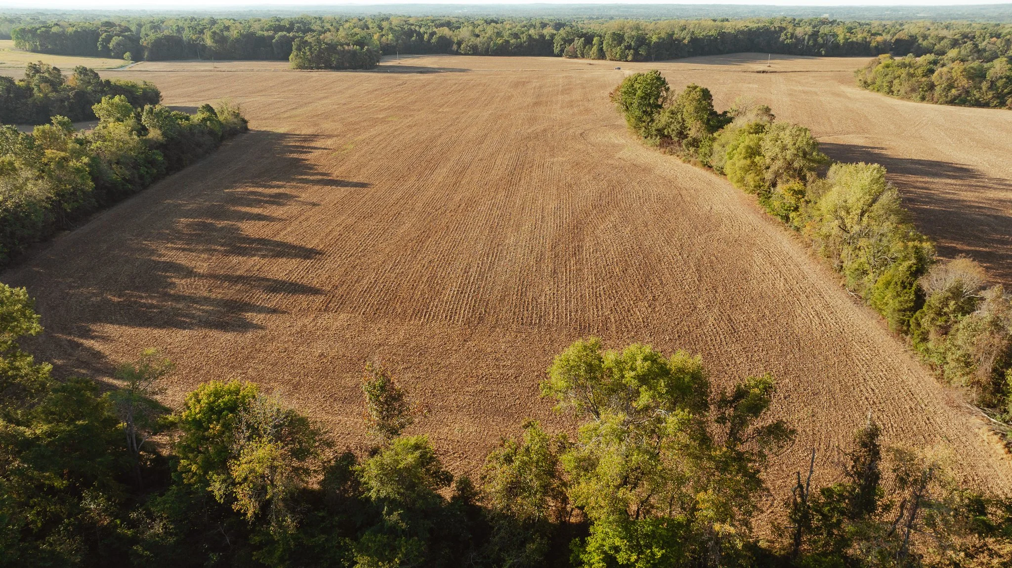 DJI_20261007151036_0028_D.jpg