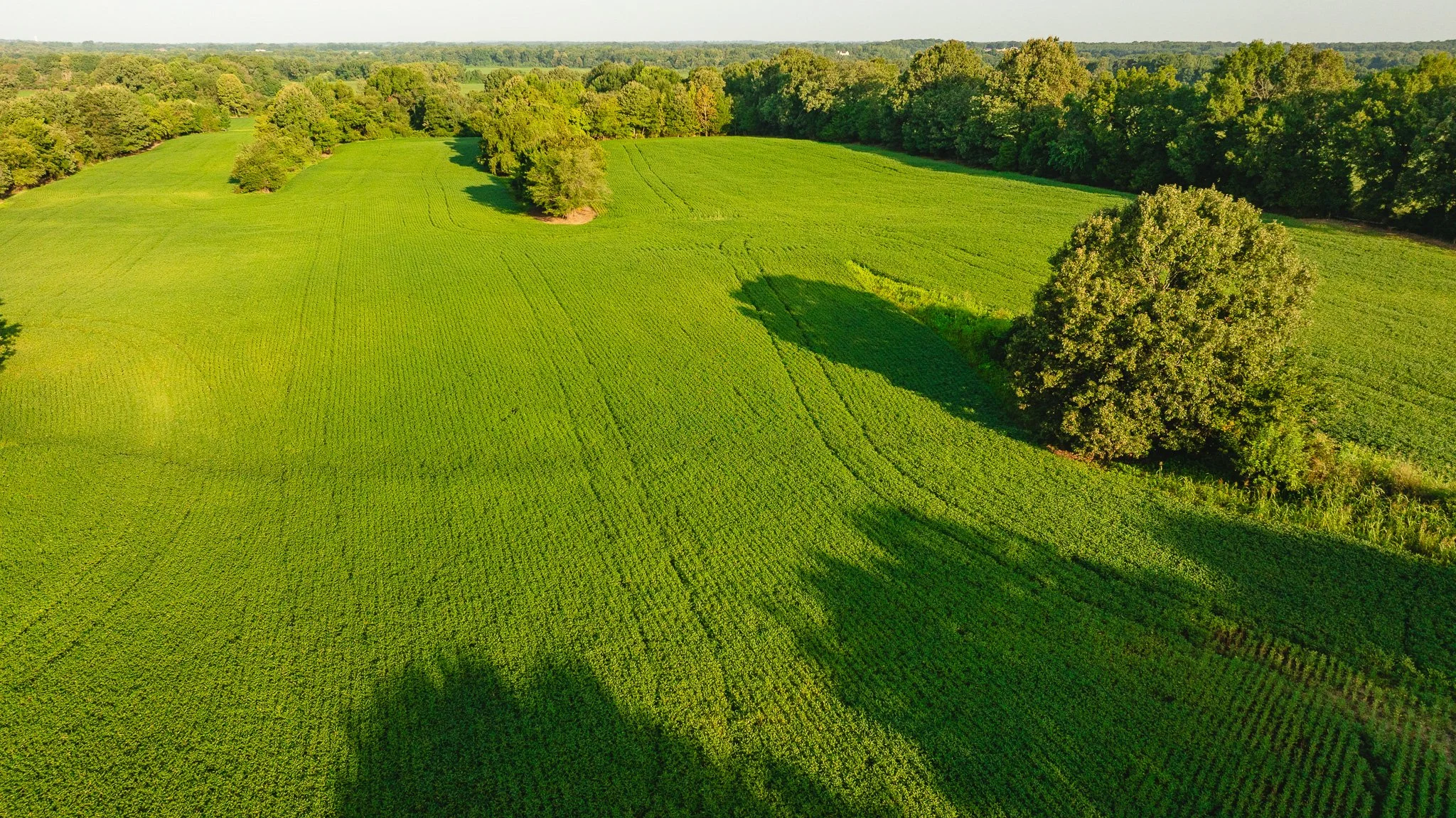 DJI_20260810150204_0010_D.jpg