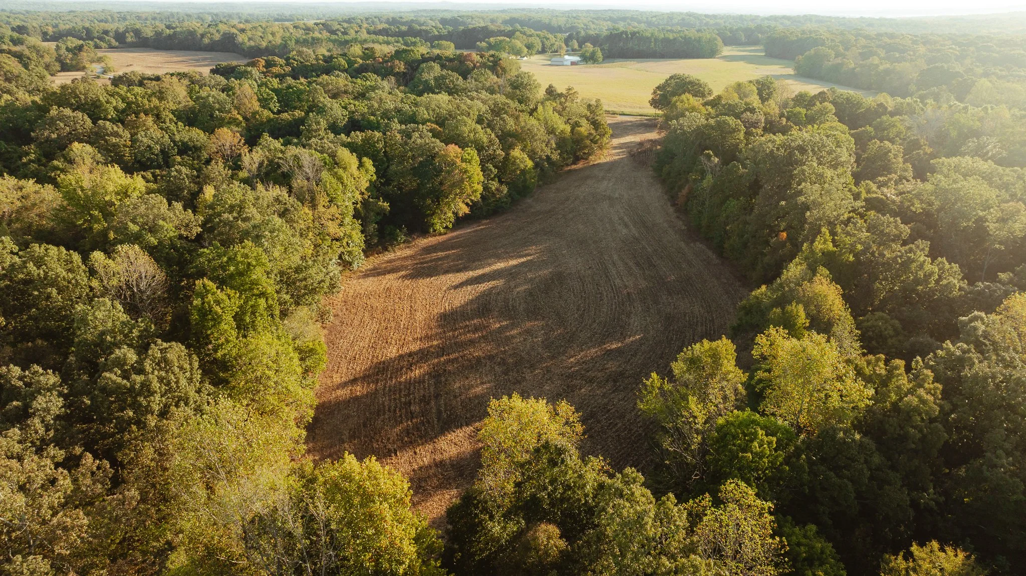DJI_20261007150748_0019_D.jpg